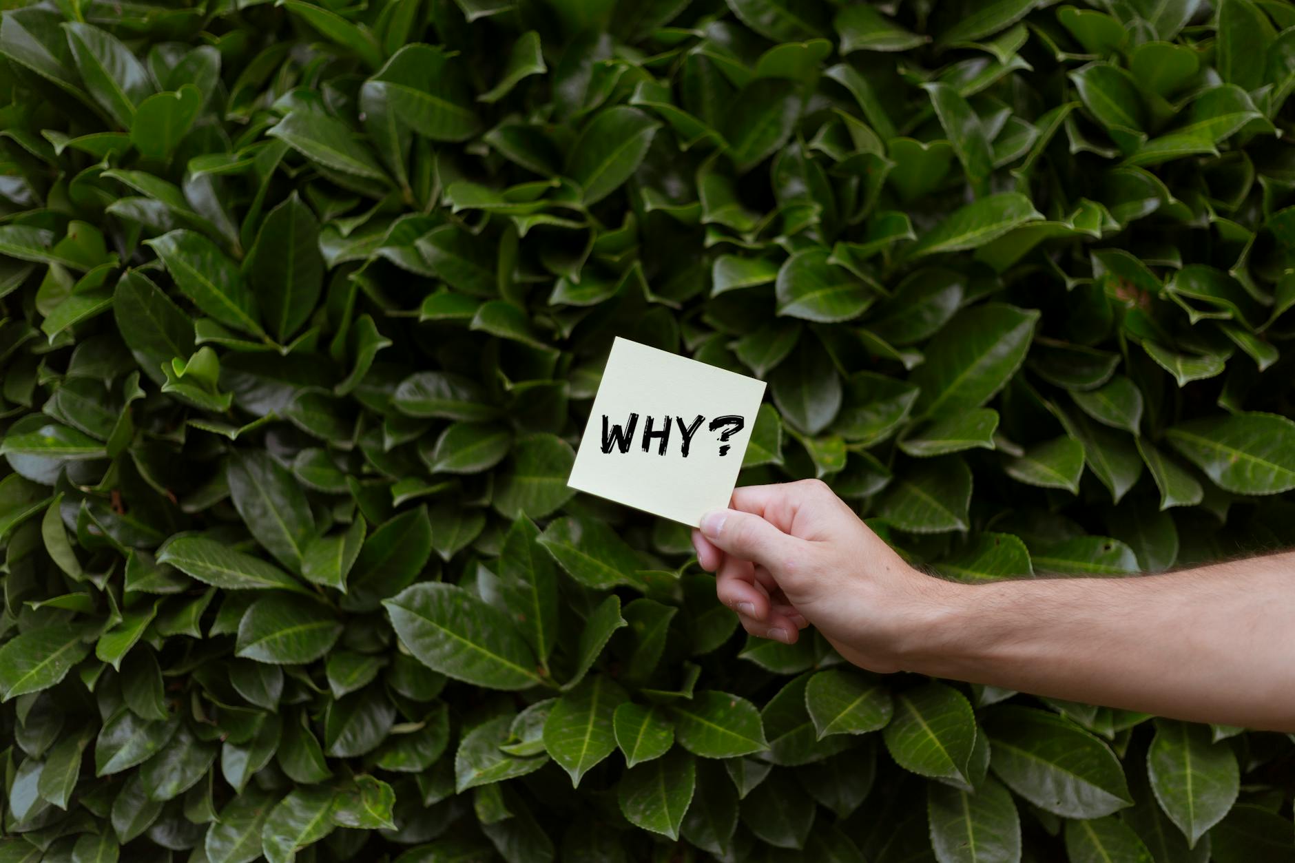When Repetitive Questions Signal More Than Forgetfulness