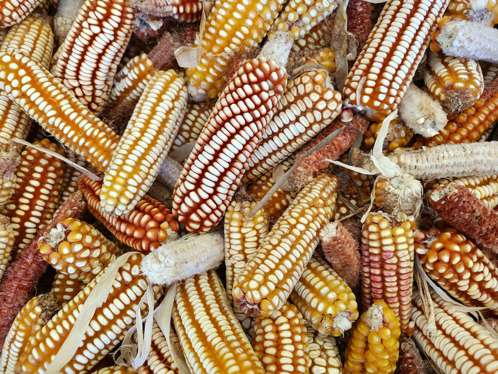 Where Is High Fructose Corn Syrup Hiding in Your Diet?