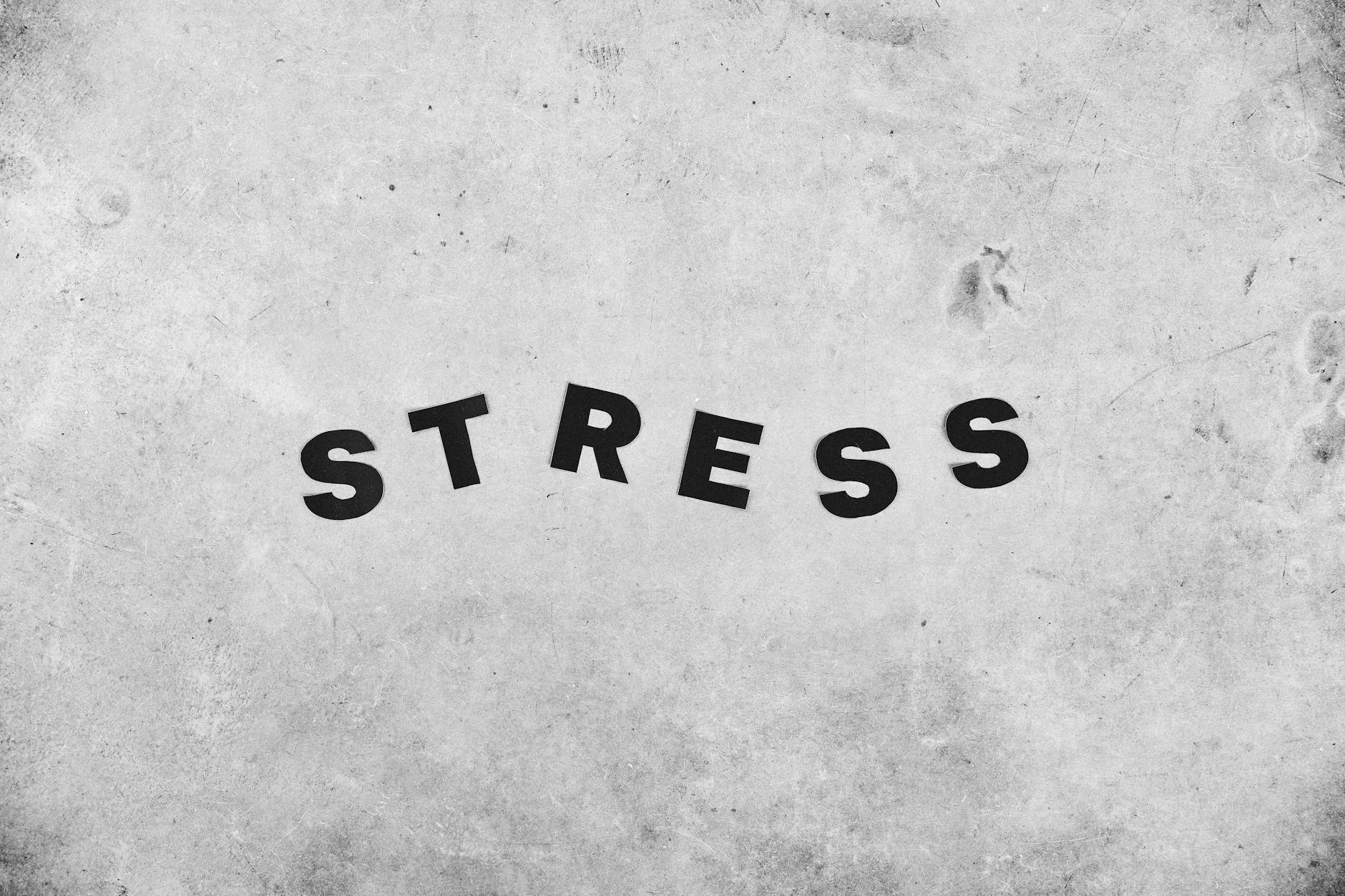 Which Environmental Stressors Have the Strongest Impact?