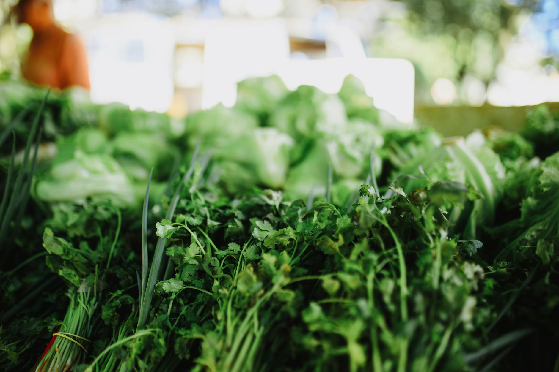 Which Leafy Greens Provide the Most Brain Protection?