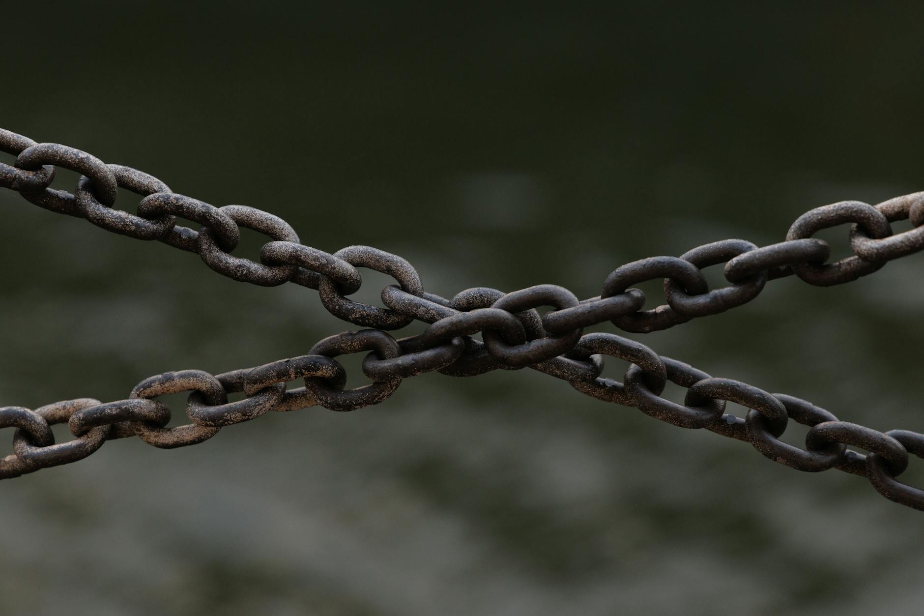WHICH TYPES OF DEMENTIA ARE LINKED TO LONELINESS?