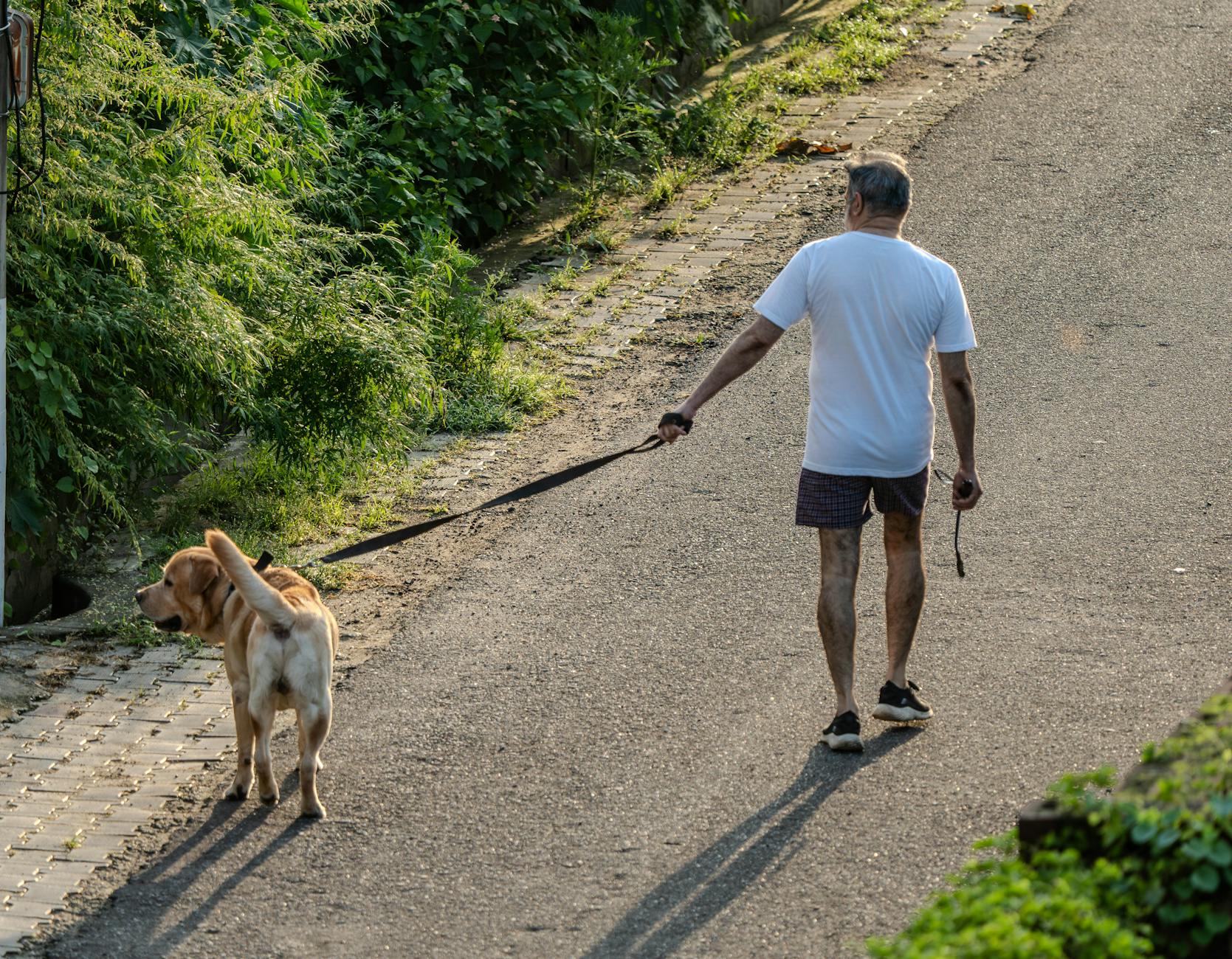 Who Benefits Most From Daily Walking?