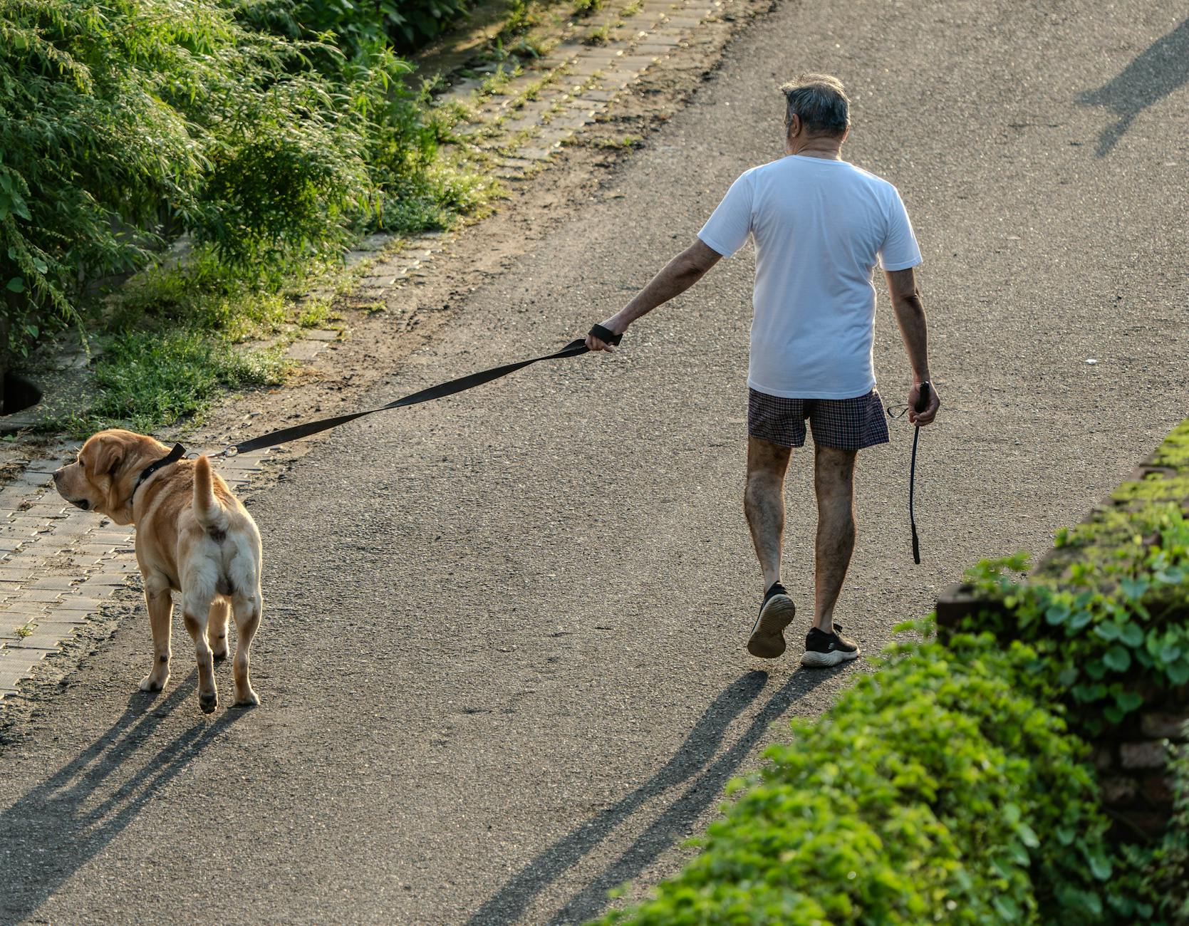 Who Benefits Most From Regular Walking?