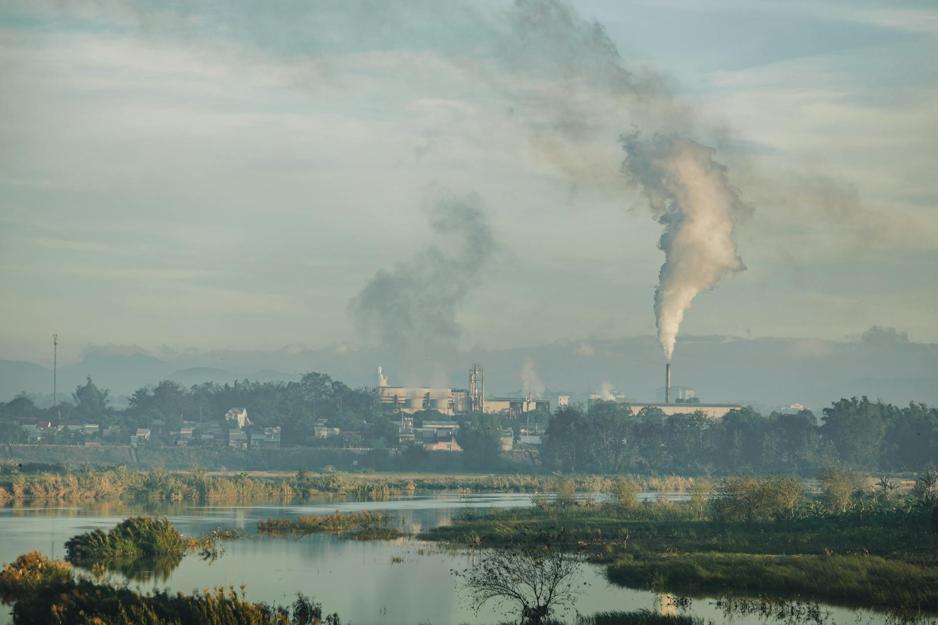 Why Air Pollution Affects Brain Health More Than Other Organ Systems