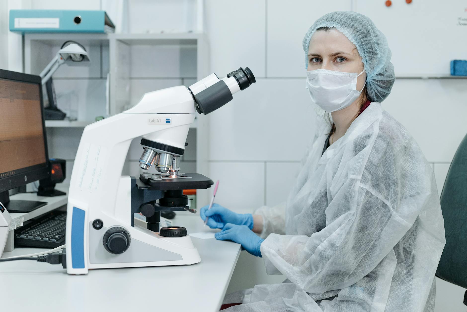Why Animal Studies and Human Health Claims Often Diverge