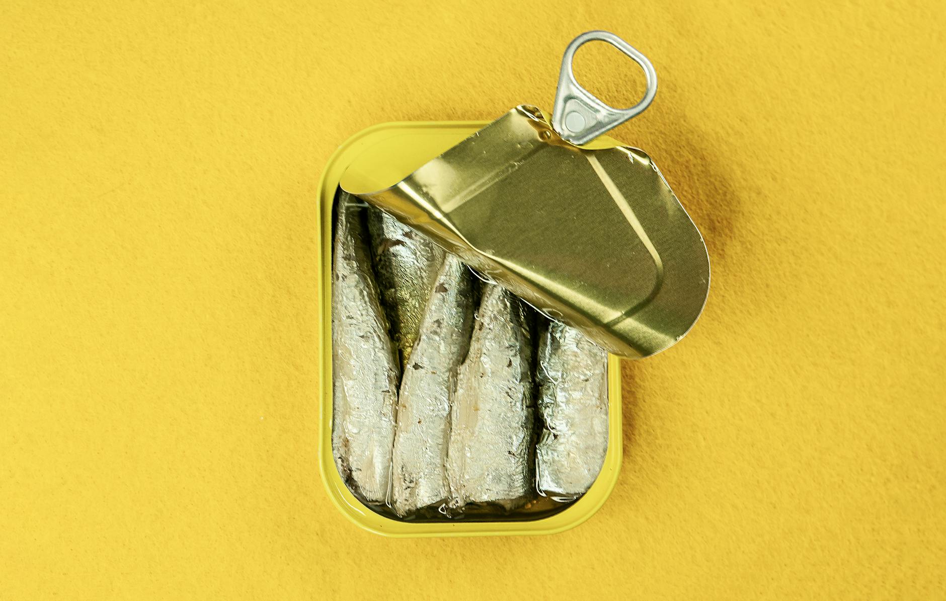 Why Are Sardines Being Falsely Linked to Brain Aging Decline?