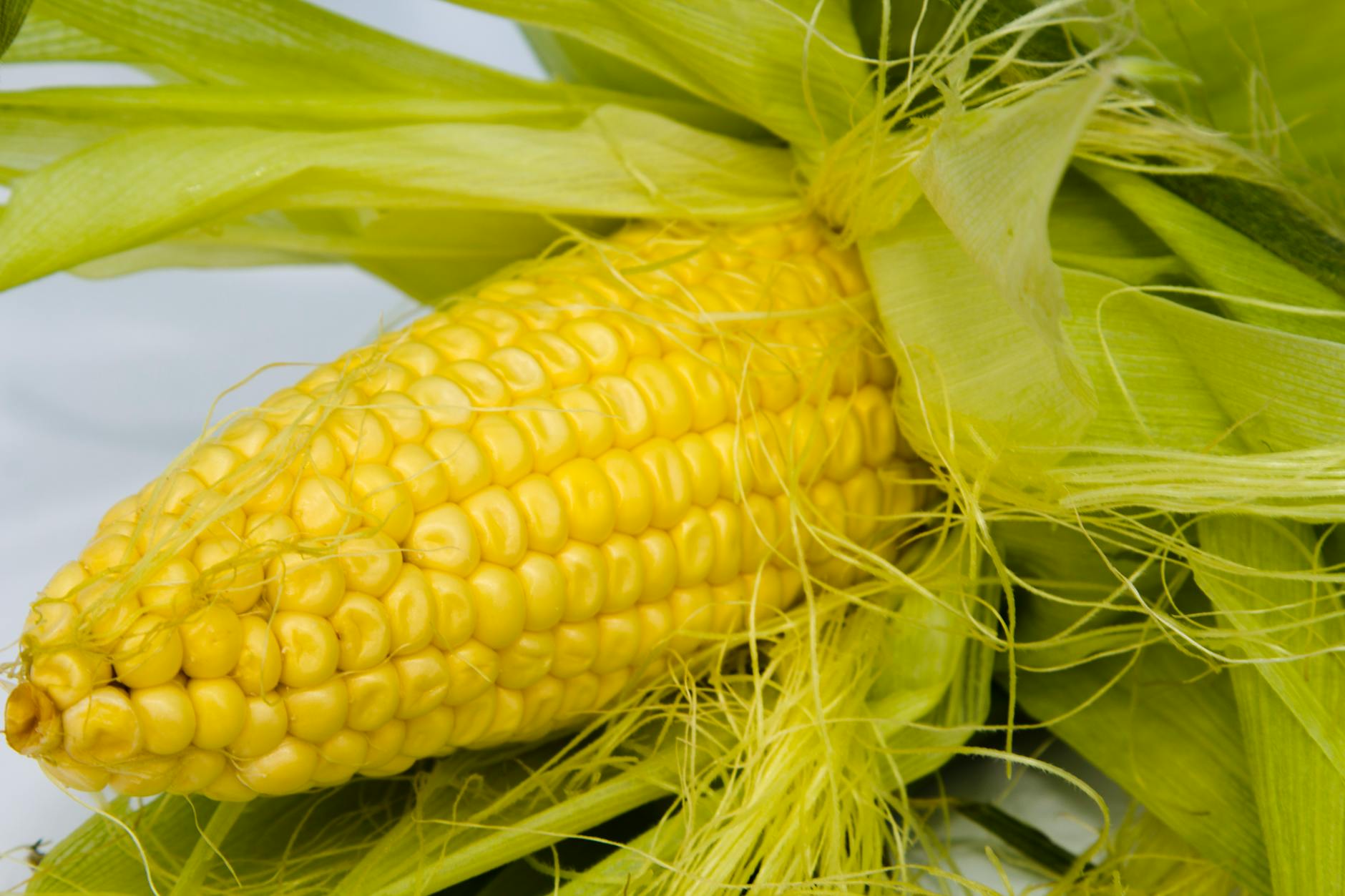 Why Does Corn Oil Raise Concerns for Brain Health?