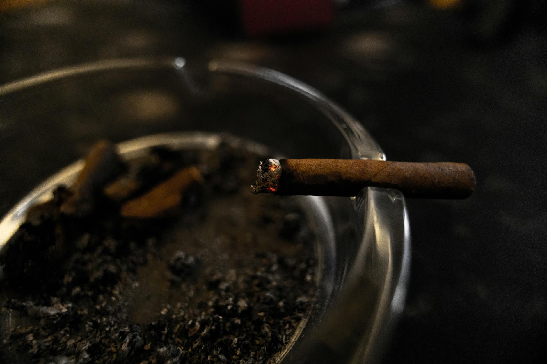 Why Does Quitting Smoking Protect Your Brain Better Than Medication?