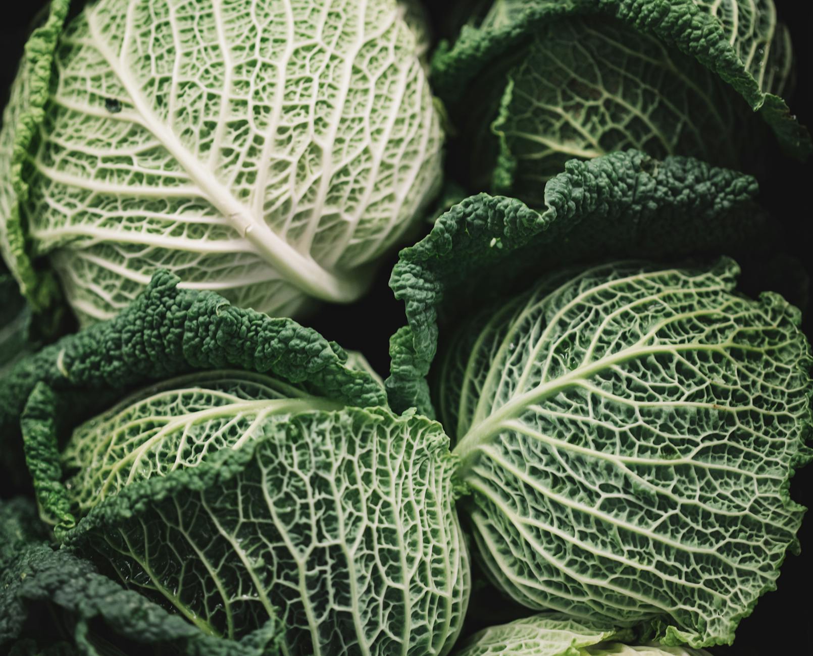 Why Does Whole Kale Outperform Brain Supplement Pills?