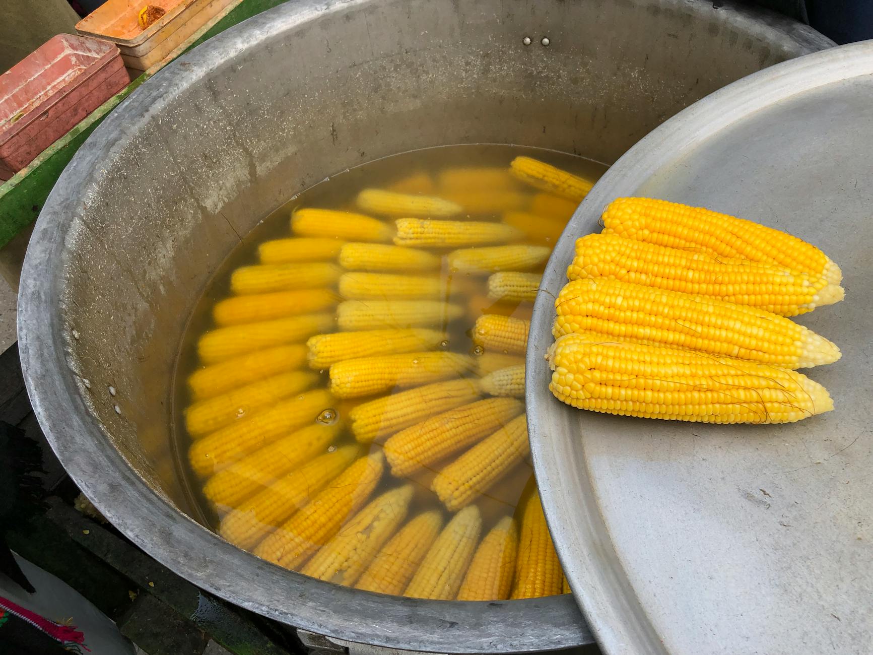 Why High Fructose Corn Syrup Is Particularly Damaging During Brain Development