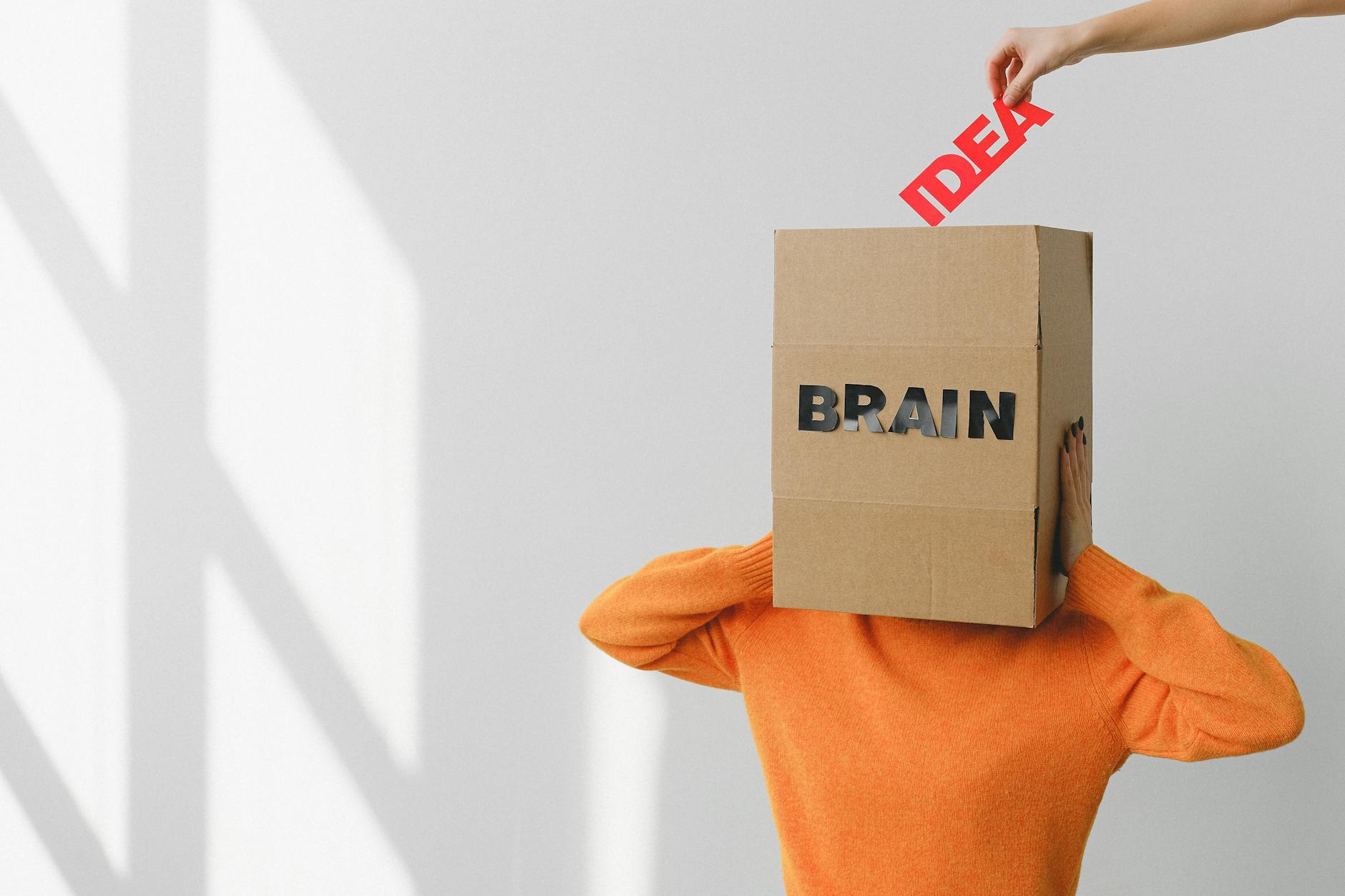 Why Is Your Age Right Now Critical for Brain Protection?