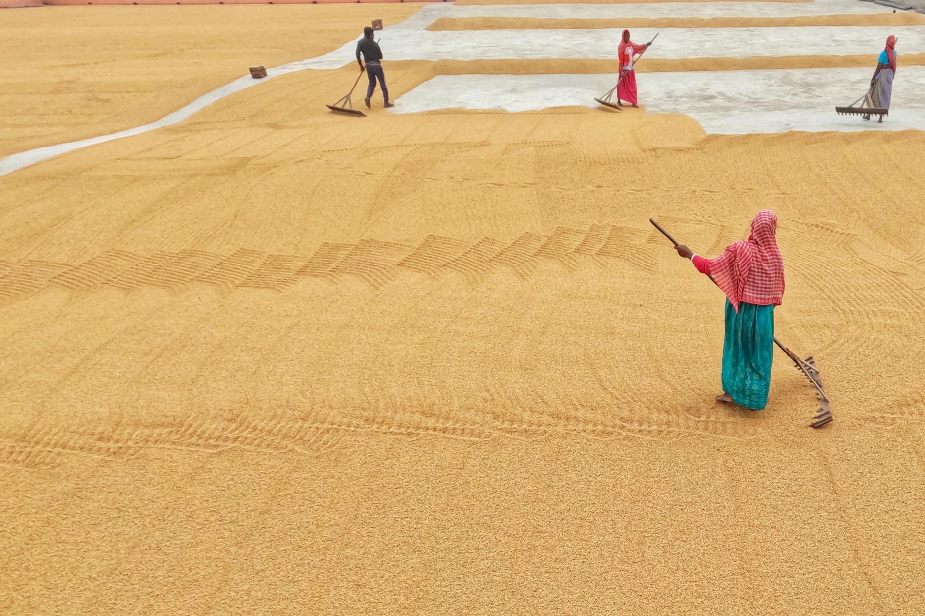 Why Whole Grains Work Better Than Refined Grain Alternatives