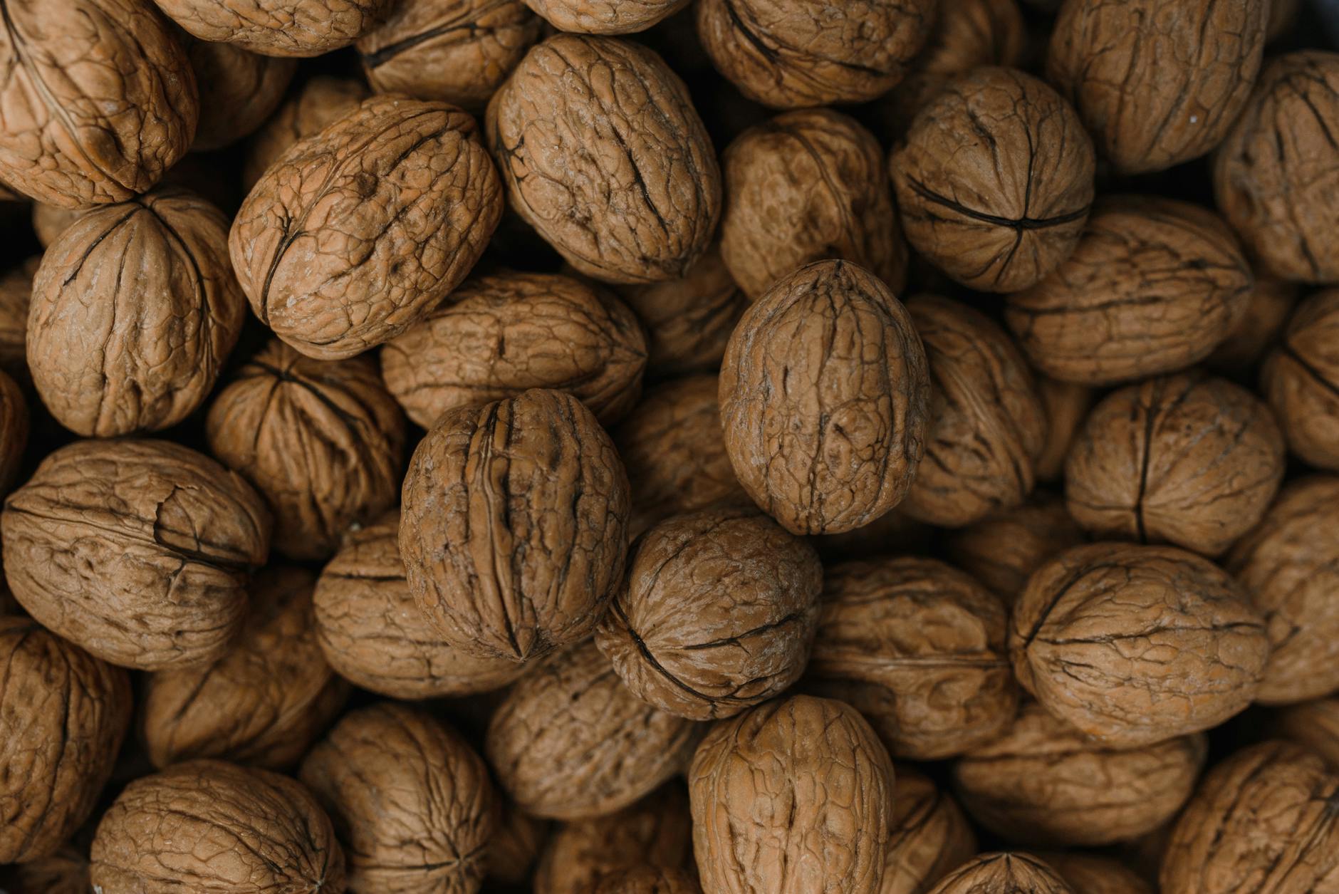 Why Whole Walnuts Outperform Brain-Health Supplements
