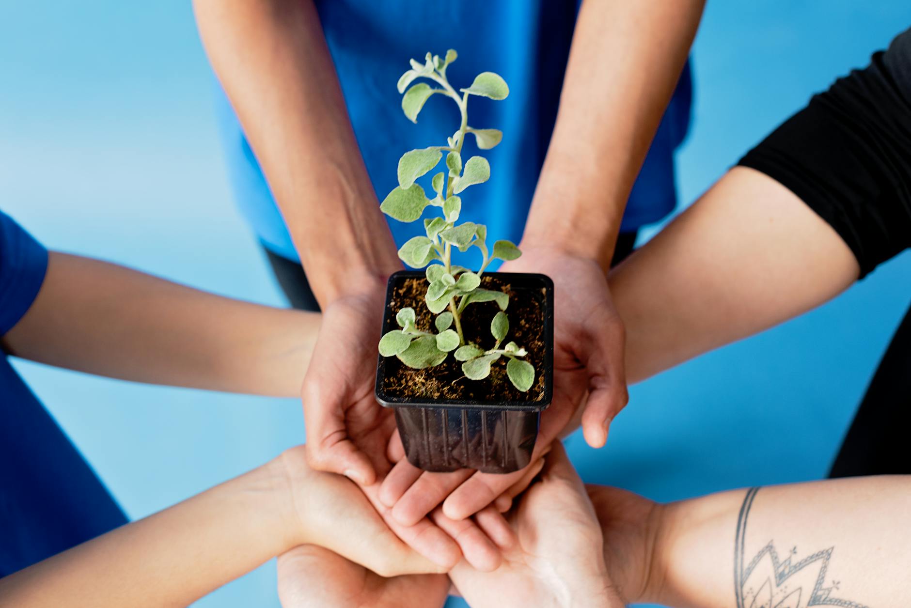 Building a Team Care Structure That Works