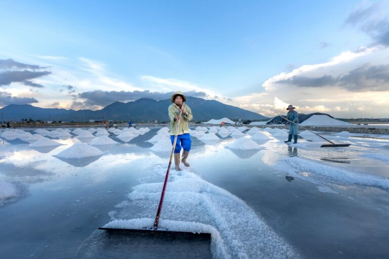 Claritin for Outdoor Workers: A Practical Guide - Featured image