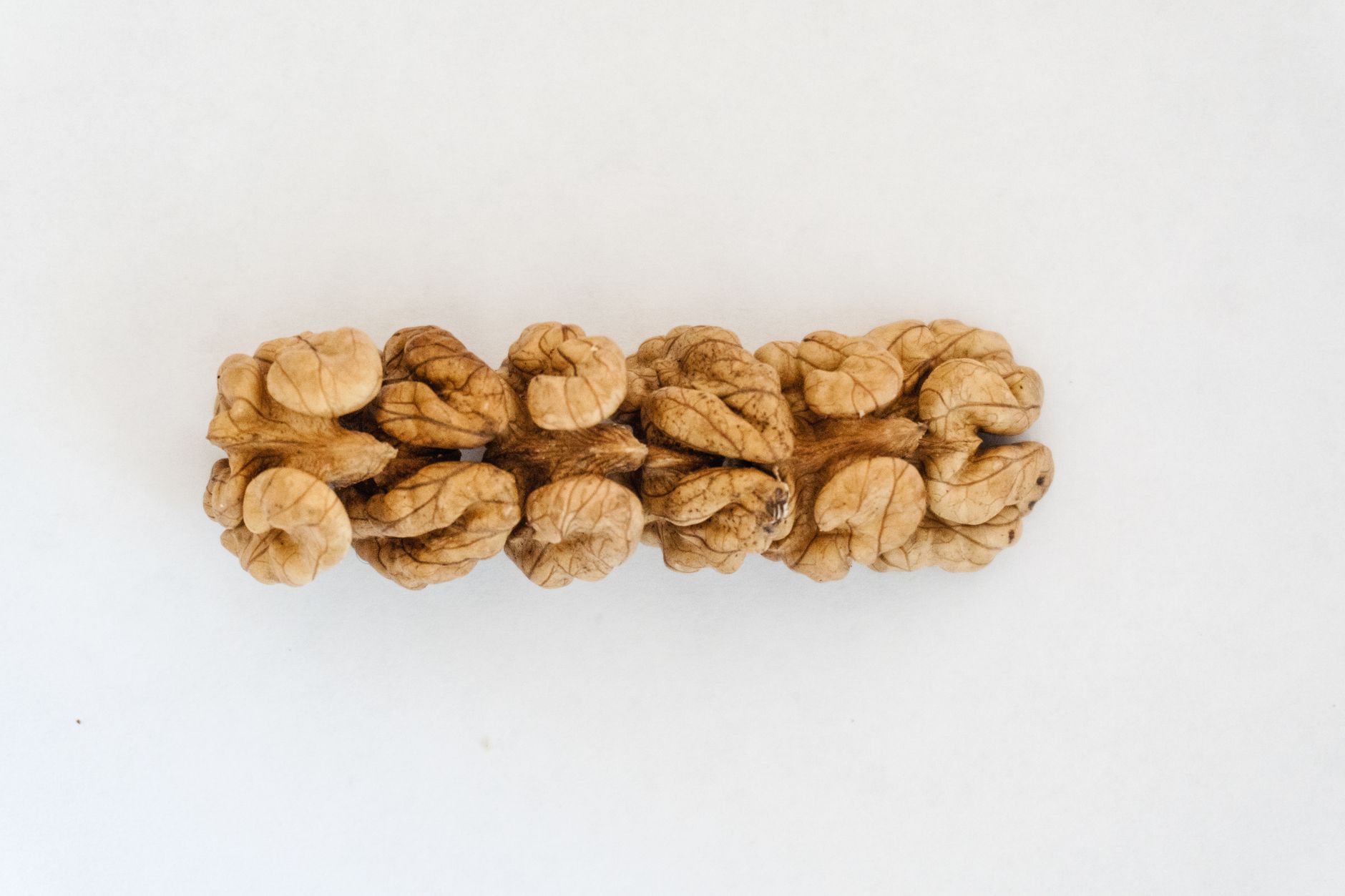 How Brain Structure Changes Through Mental Health Treatment