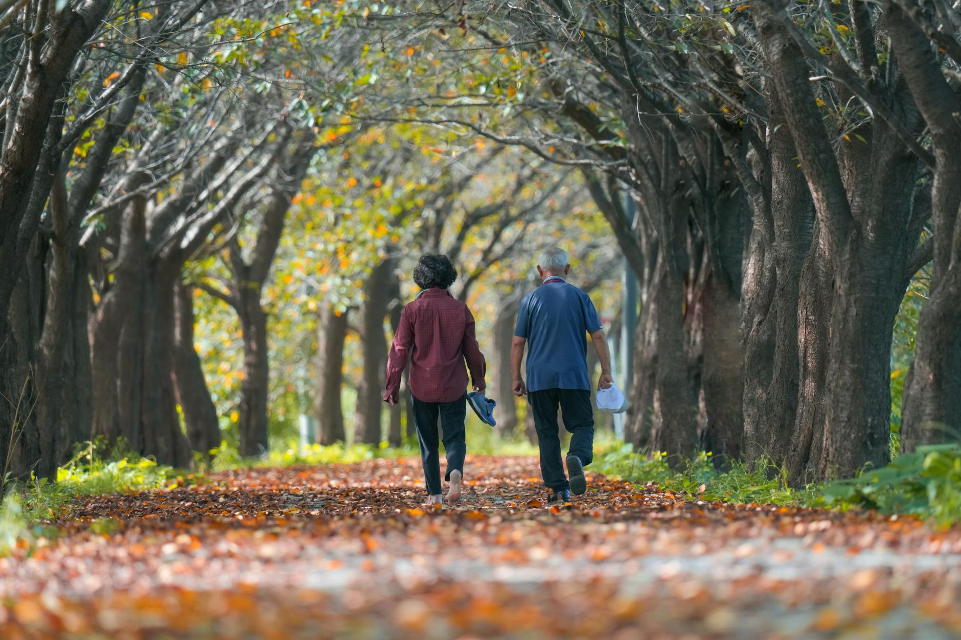 How Comorbidities Shape Life Expectancy After Dementia Diagnosis