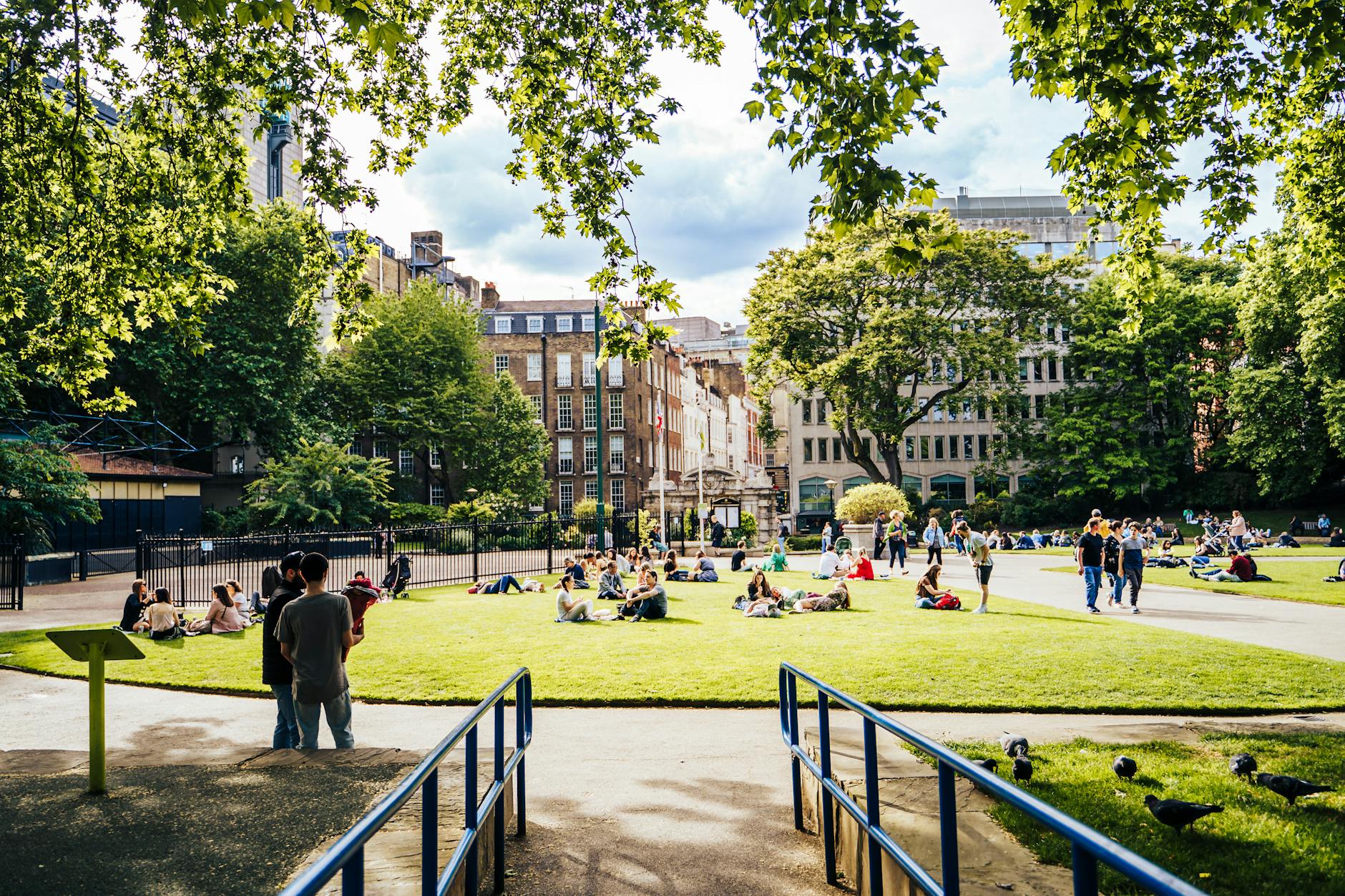 How Do Green Spaces and Parks Contribute to Dementia Risk Reduction?