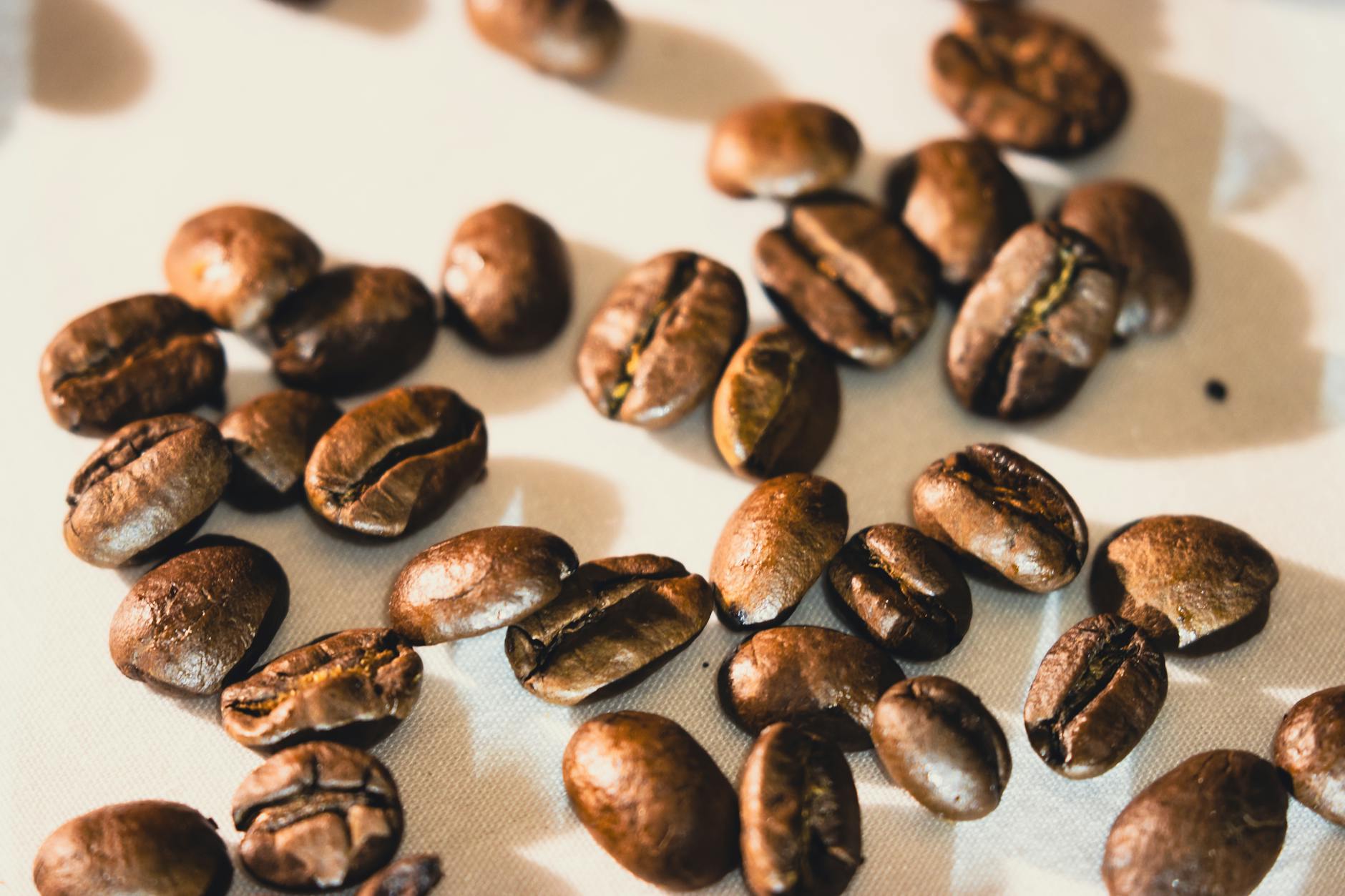 HOW DOES COFFEE PROTECT YOUR BRAIN FROM DEMENTIA?