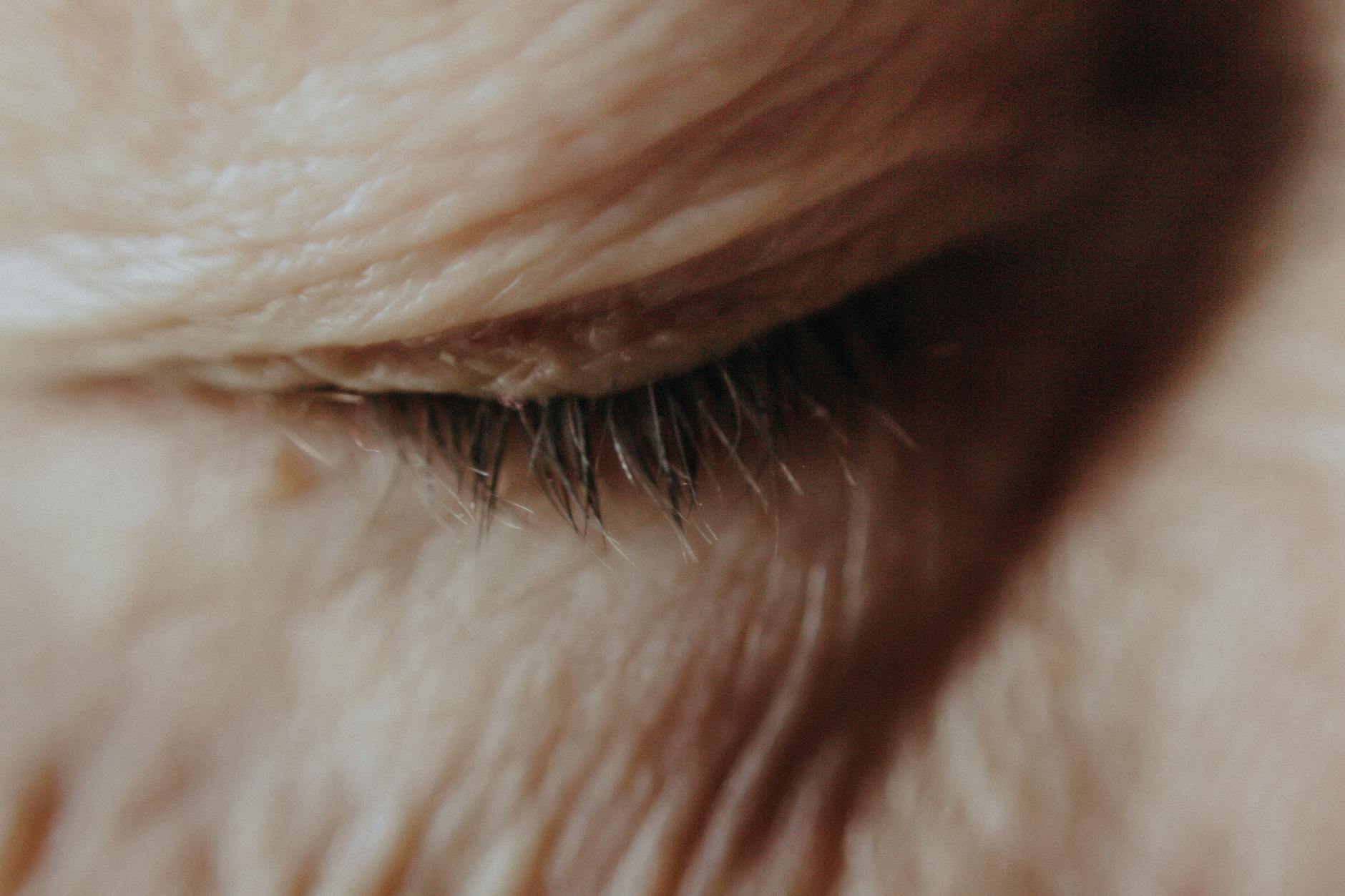 How Does Dementia's Gradual Decline Create Slow Caregiver Development?