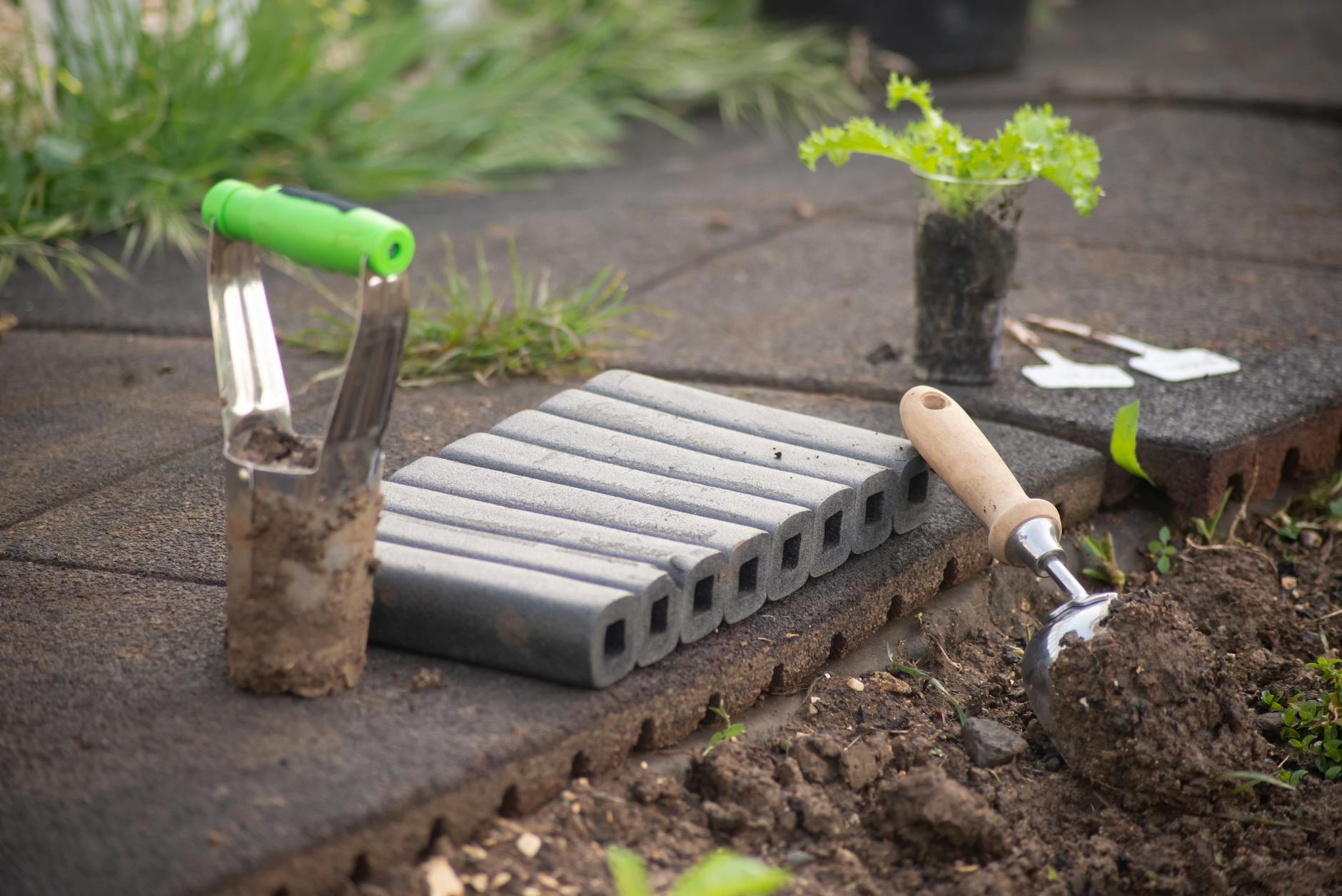 How Does Gardening Stimulate Cognitive Function?