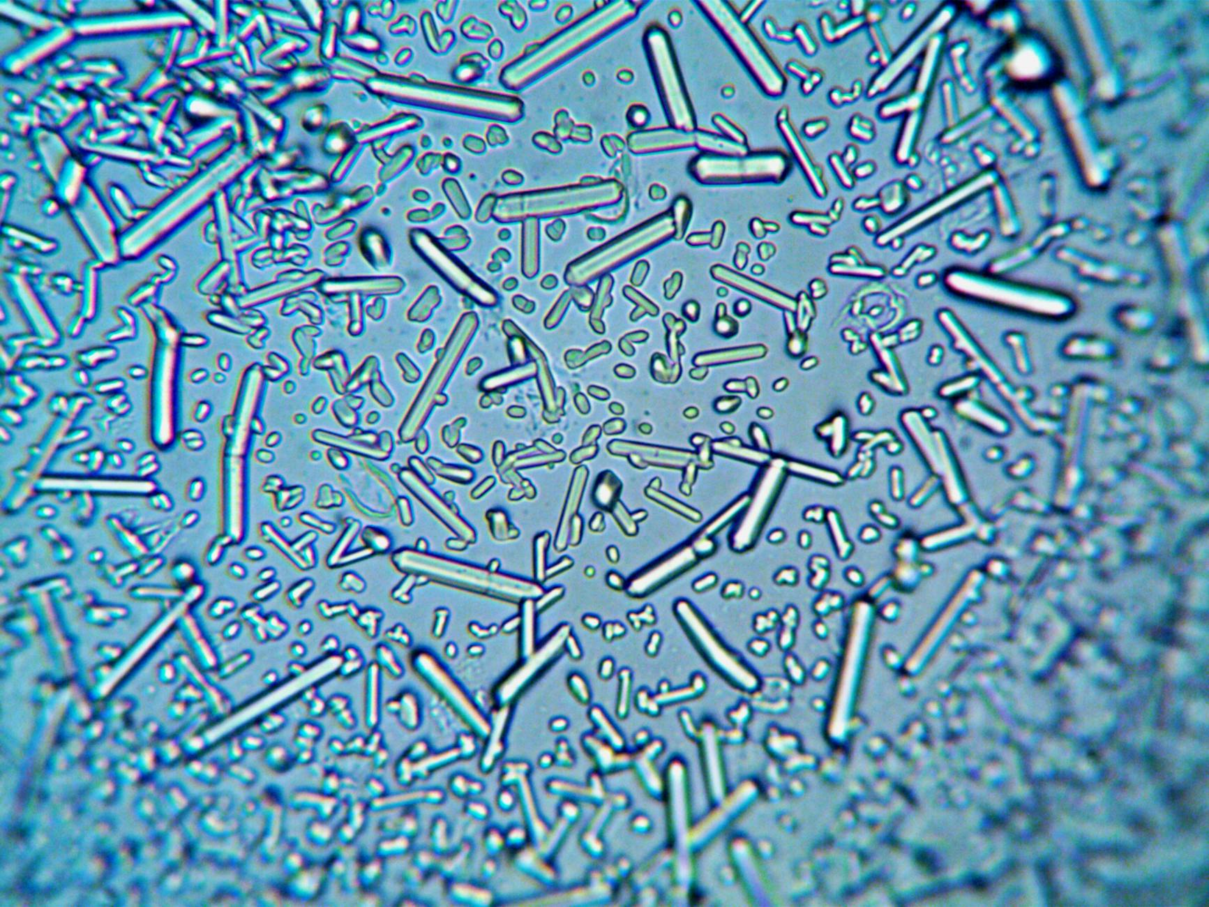 How Does Guaifenesin Work and What Does the Research Actually Say?