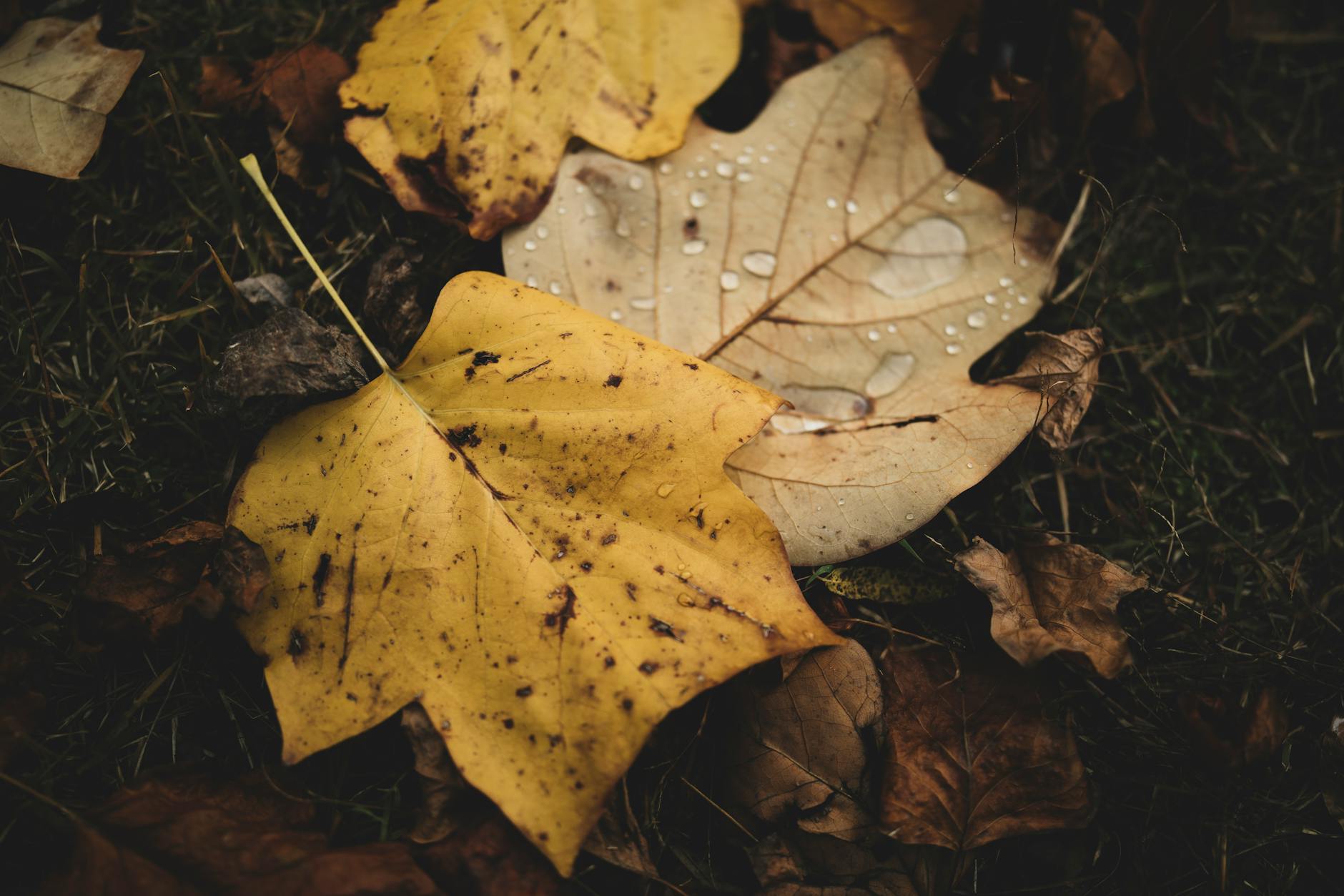 HOW DOES INCONTINENCE CHANGE THE PHYSICAL HOME ENVIRONMENT?