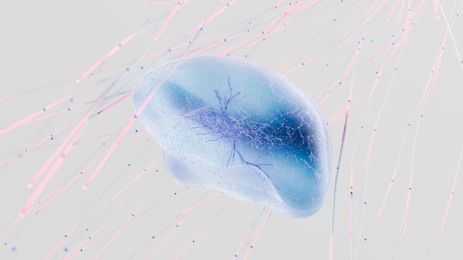How Does Traumatic Brain Injury Increase Alzheimer's Risk?