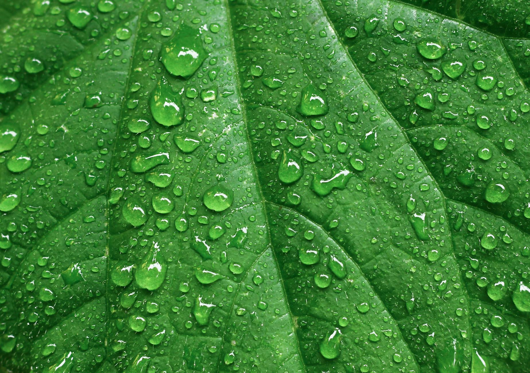 How Does Vicks VapoSteam Actually Help with Post-Nasal Drip?