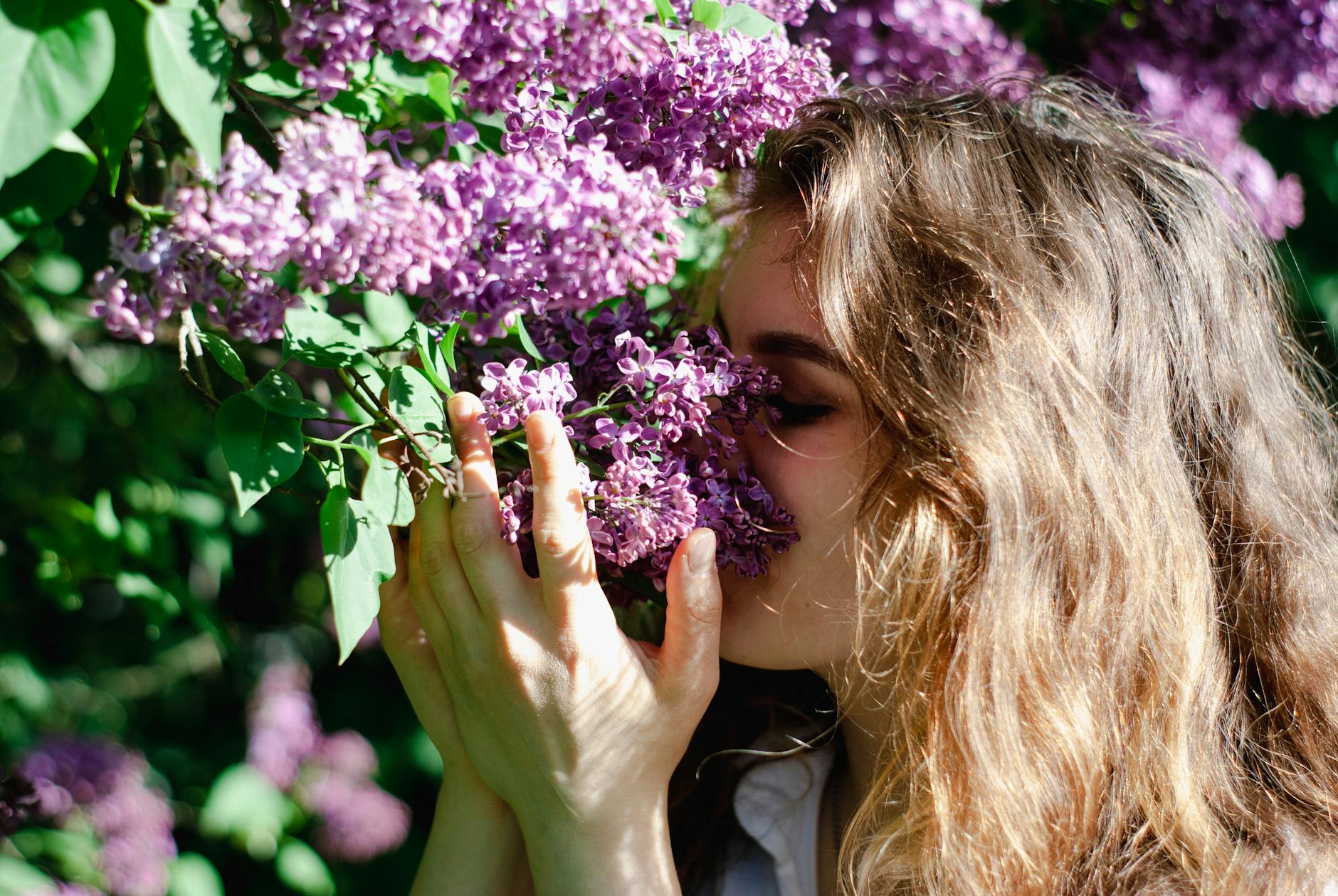 How Mold Sensitivity Differs from Other Allergies