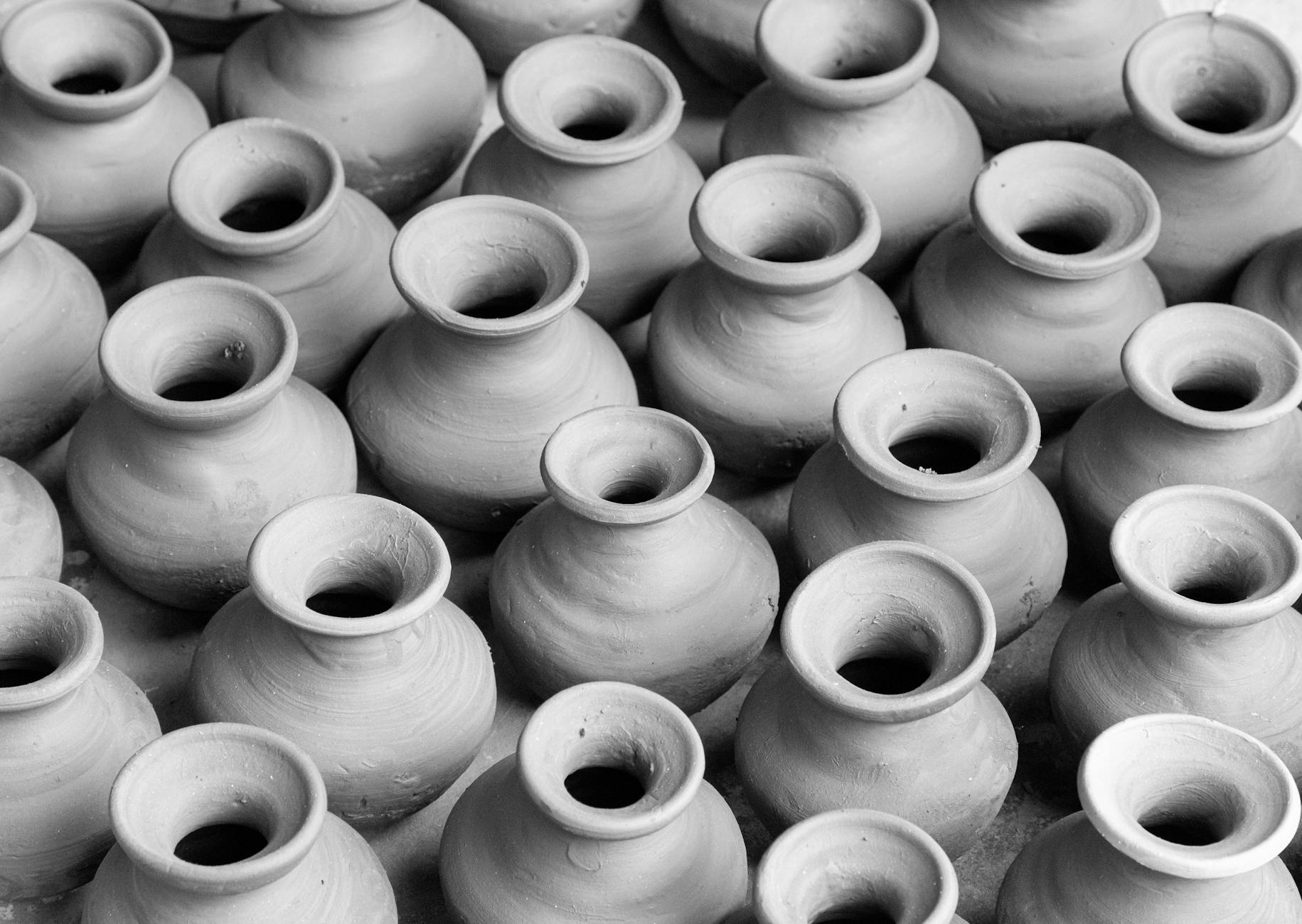 HOW NETI POTS WORK AGAINST RAGWEED POLLEN