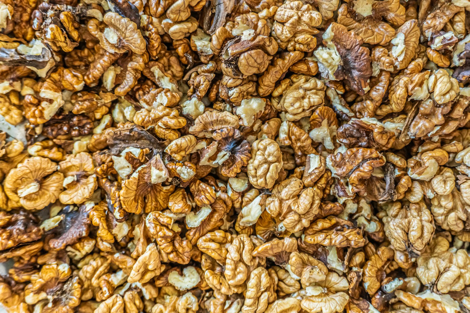 How Processed Foods Damage Brain Health—The Biological Mechanism