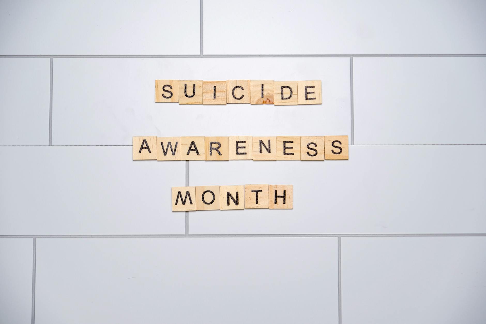 Mental Health Care and Suicide Prevention as Brain Protection