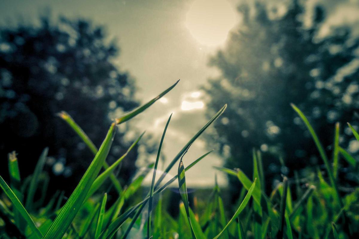 SUNDOWNING AND NIGHTTIME BEHAVIORS THAT SIGNAL INCREASING RISK