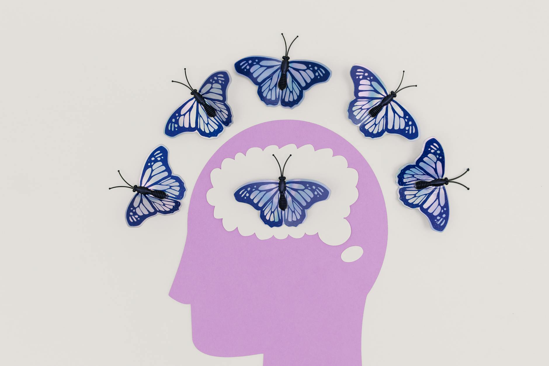 The Allergy-Cognition Connection