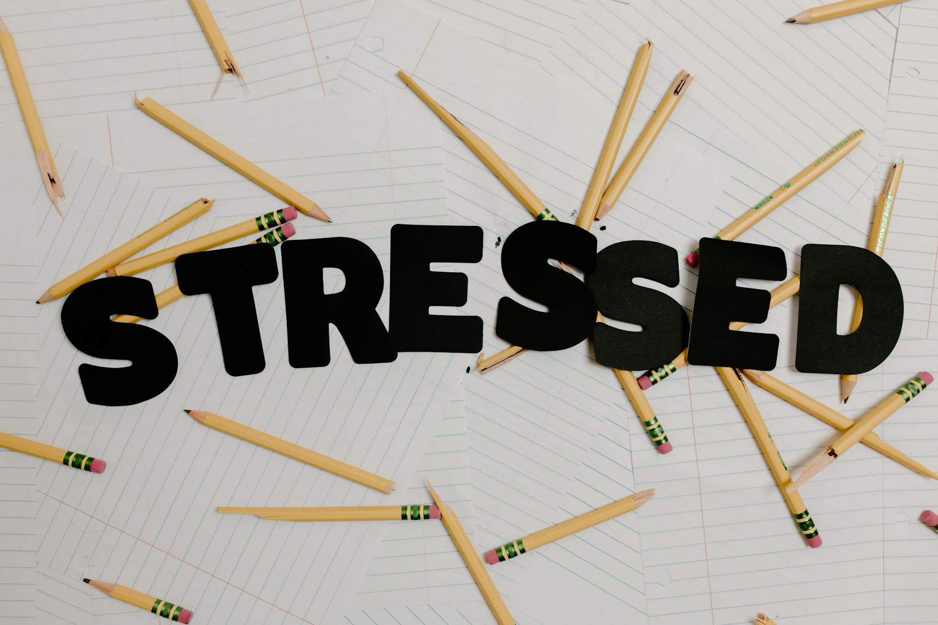 The Cycle of Stress and Behavioral Changes