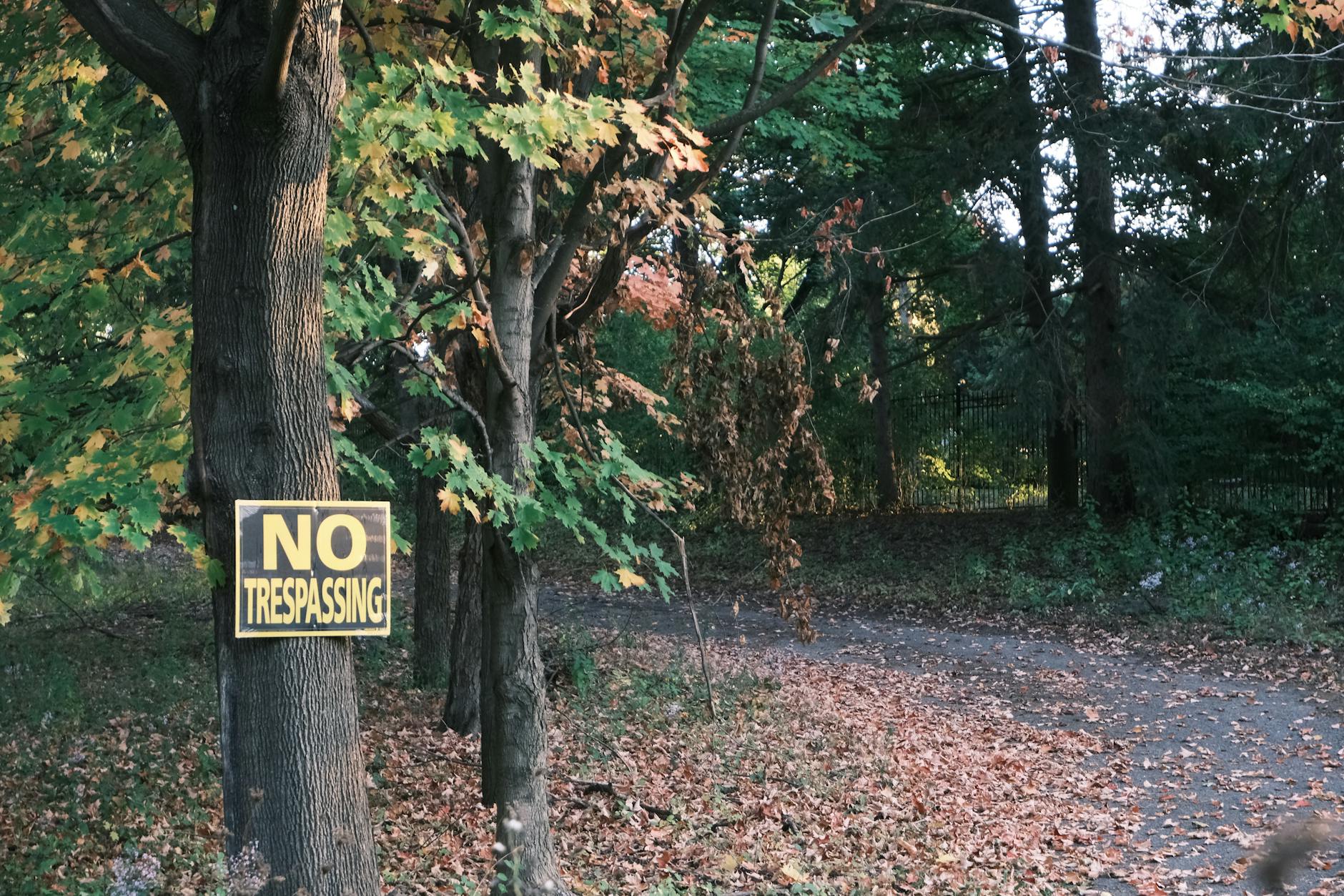 The FDA's 2009 Warning: What Changed?