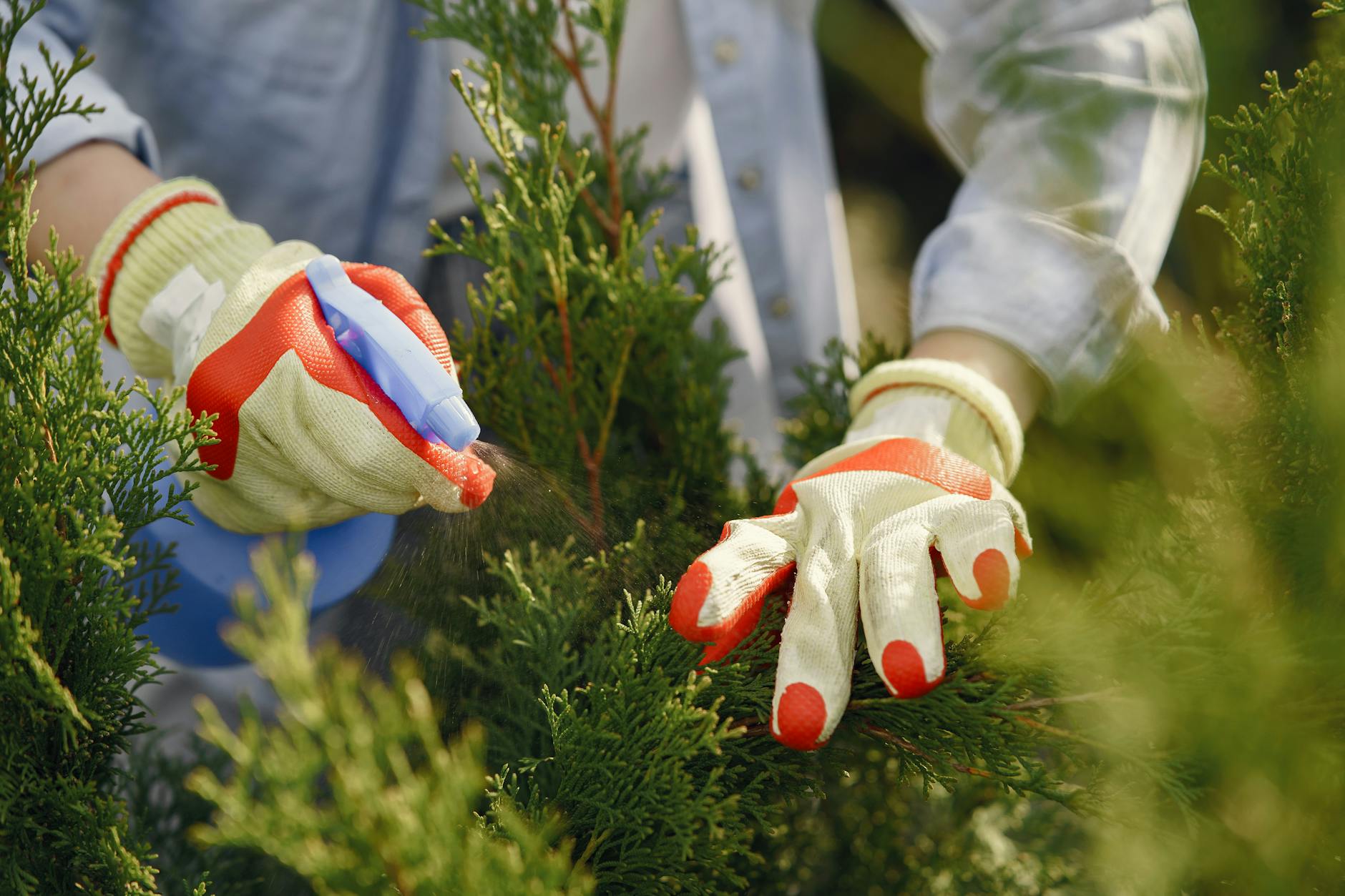 Timing and Dosing Strategies for Outdoor Work Schedules