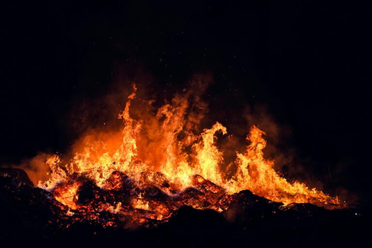 Tylenol Cold + Flu and Wildfire-Smoke Symptoms: A Plain-English Guide - Featured image