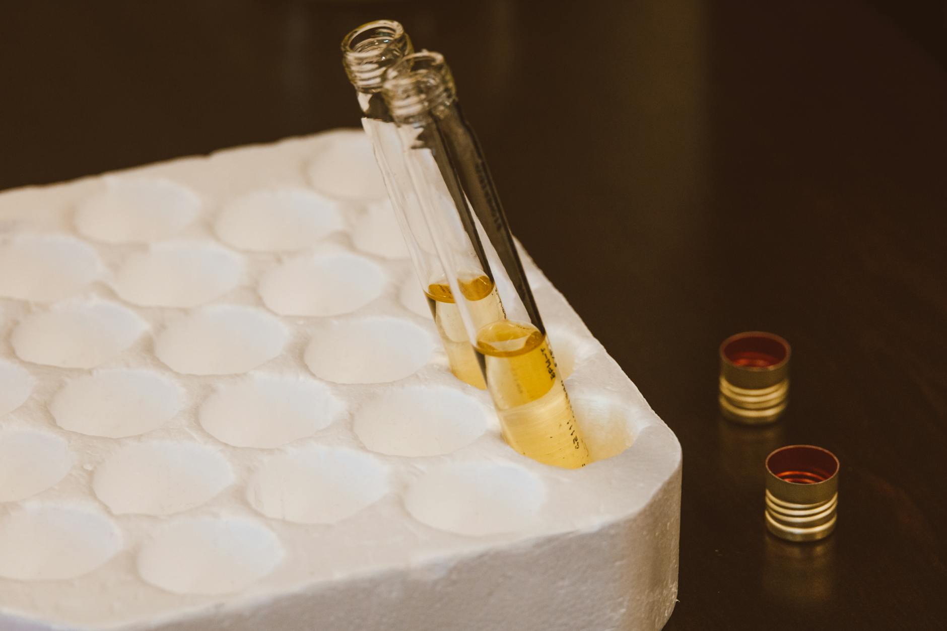 What Does Early Testing Actually Measure and Why Does It Matter?