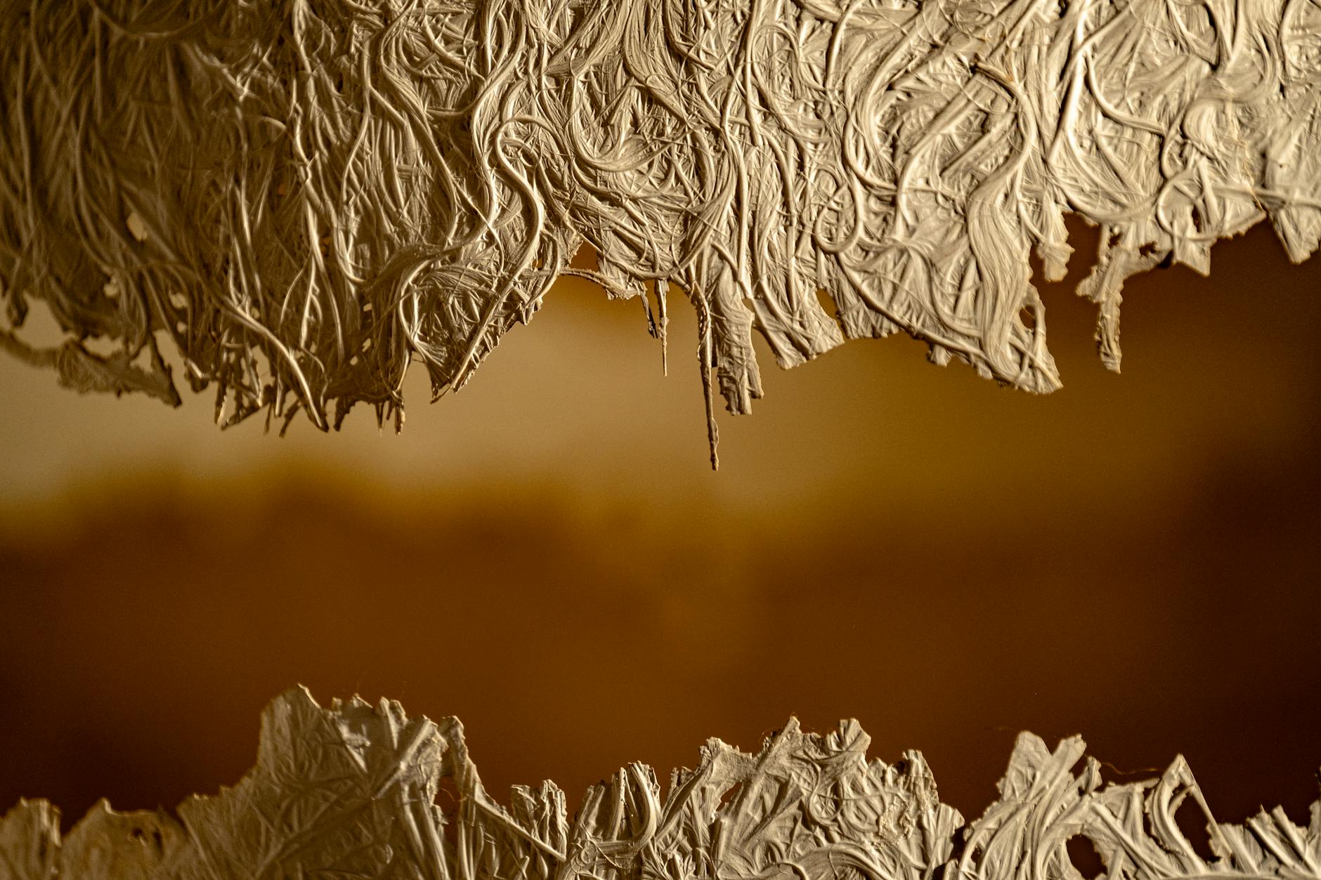 What Does Long-Term Memory Research Reveal About Alzheimer's Progression?