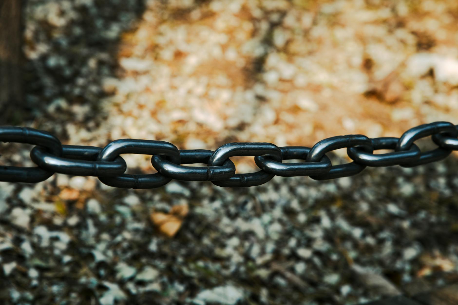 WHAT IS THE BIOLOGICAL LINK BETWEEN TRAUMATIC BRAIN INJURY AND DEMENTIA RISK?