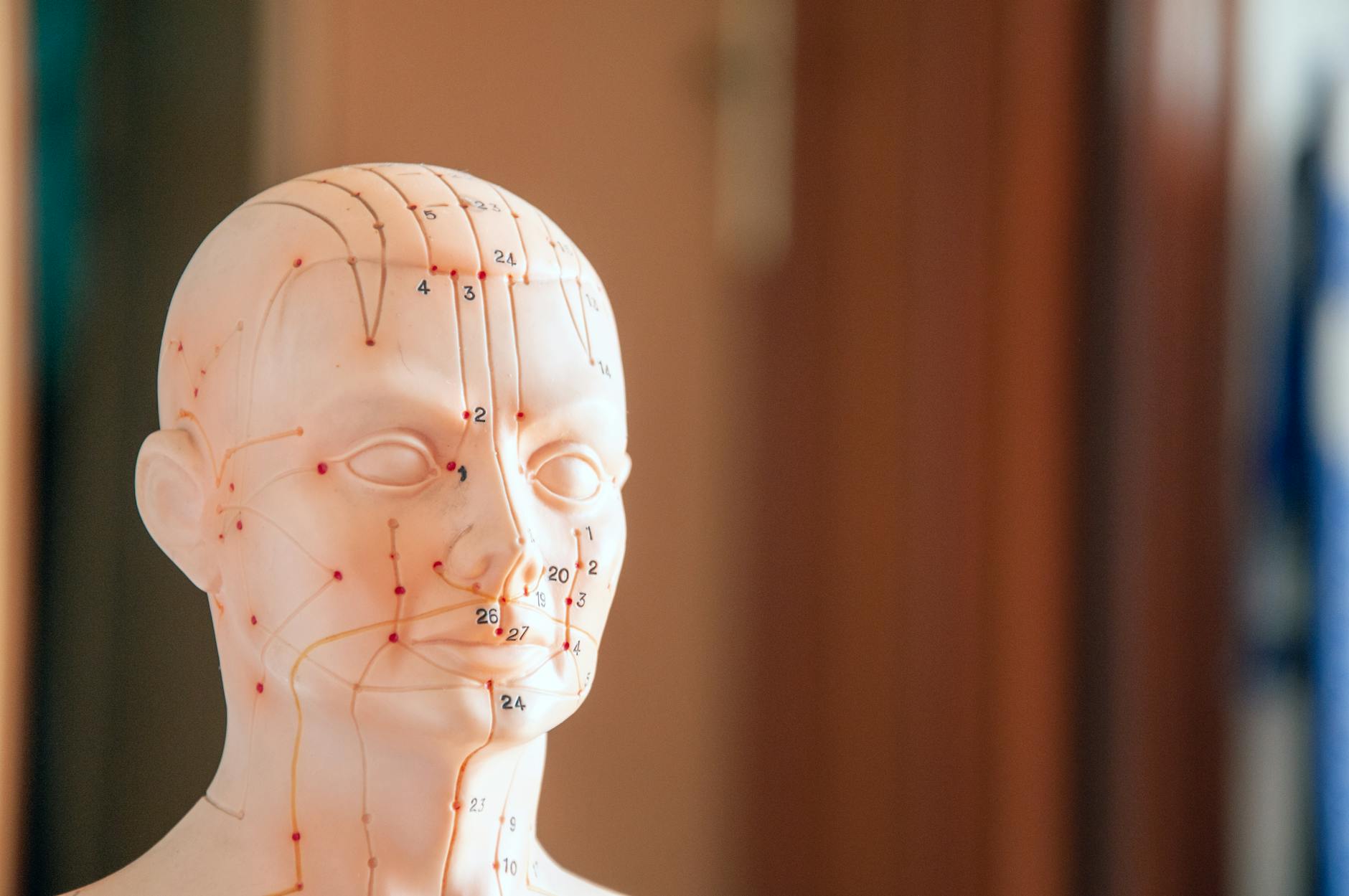 What Training Do Geriatricians Have in Dementia Care?