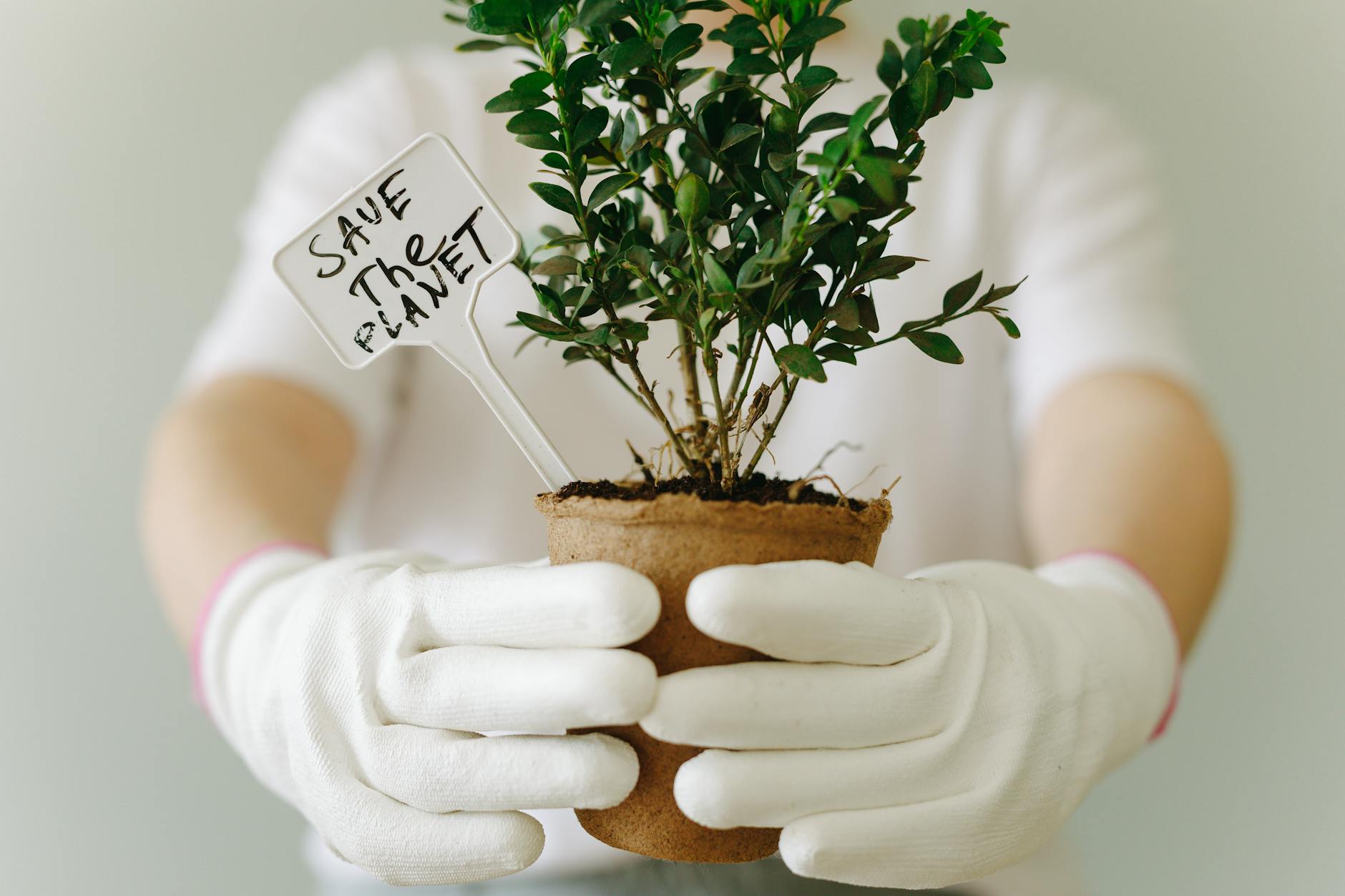 Which Environmental and Lifestyle Factors Are Hidden Triggers for Alzheimer's?