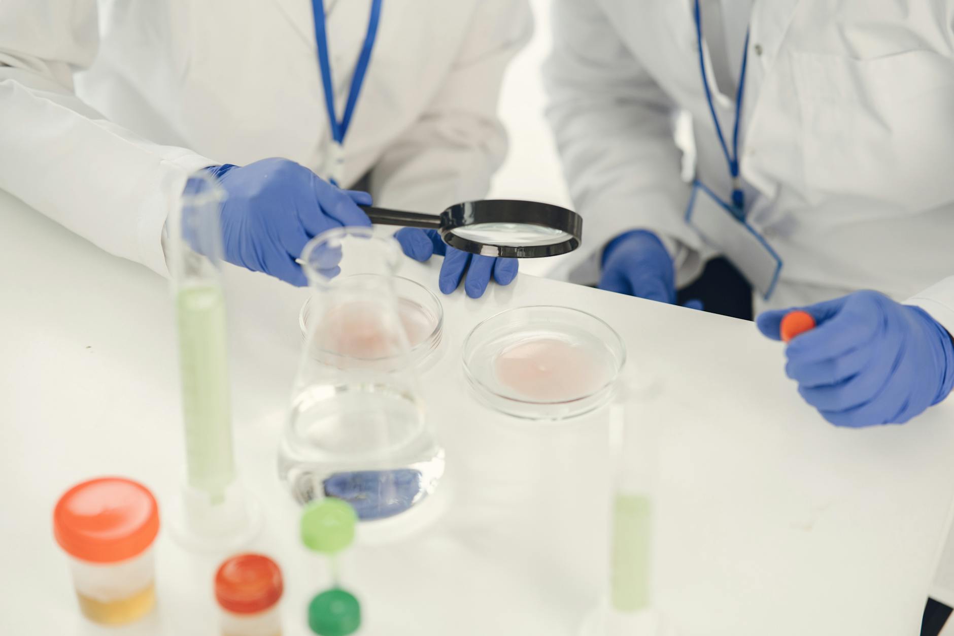 Why Do Researchers Compare Heart Amyloidosis to Alzheimer's Disease?