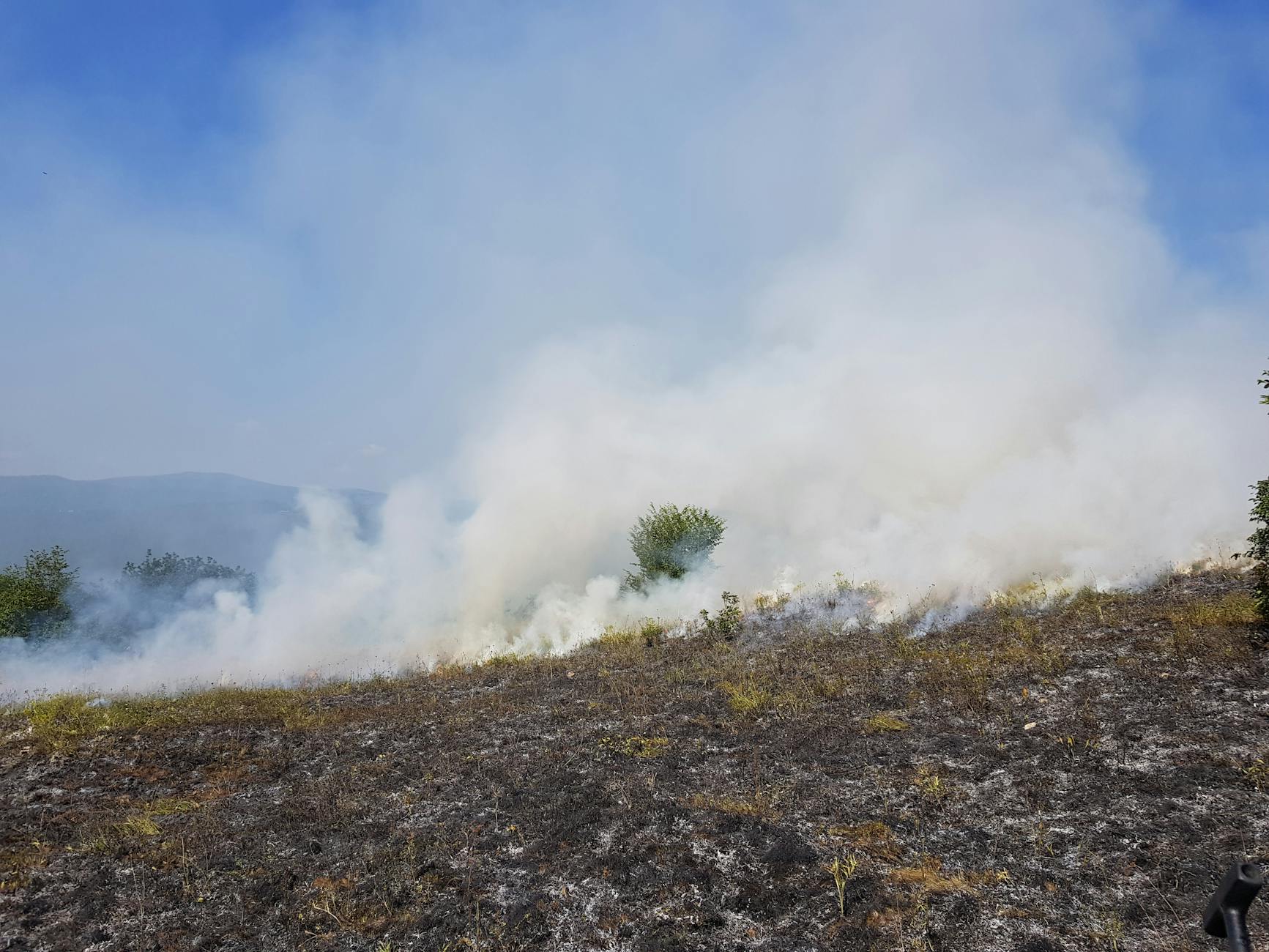 Why Throat Lozenges Can't Address Wildfire Smoke's Underlying Problem