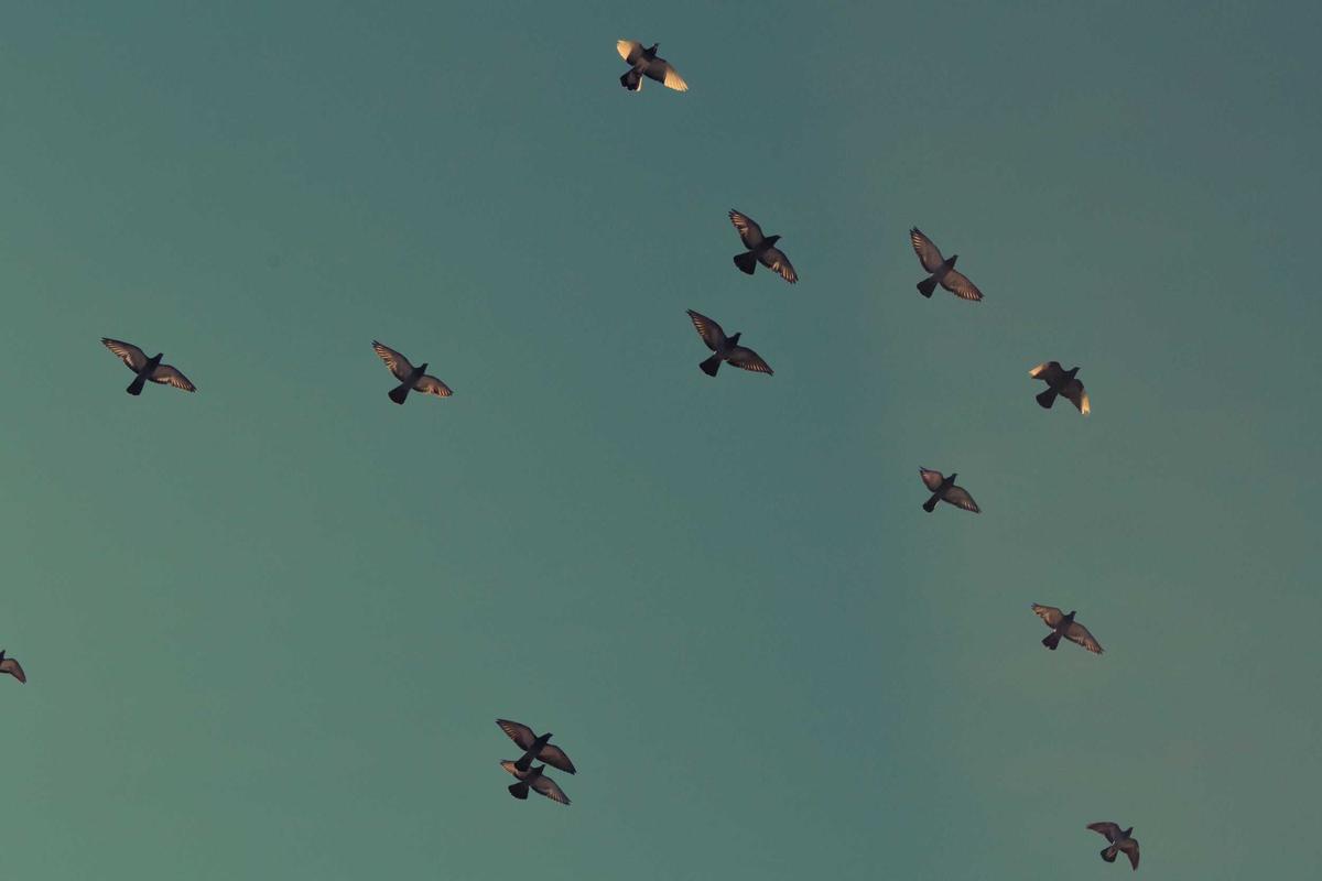 Common Gaps in Medical Evidence and Why They Matter