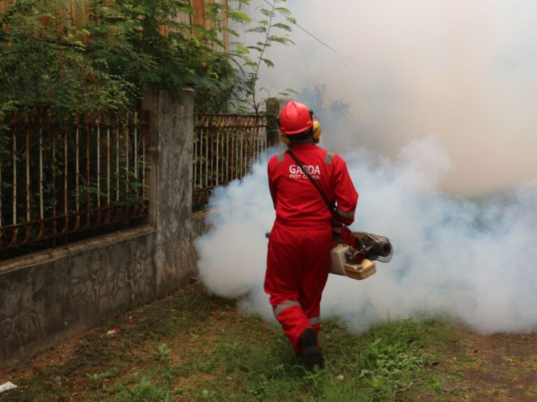 Could Pesticide Exposure Influence Dementia Risk? - Featured image