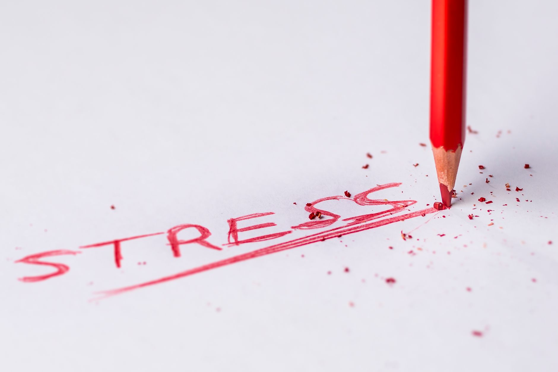 How Does Chronic Stress Impact Cognitive Test Performance?