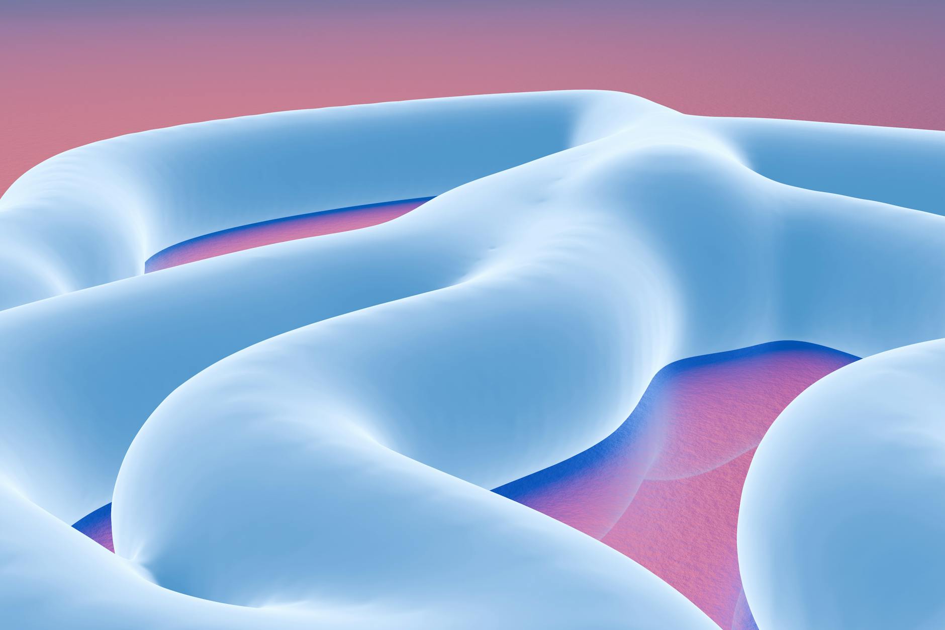 How Does Your Gut Microbiome Connect to Your Brain?
